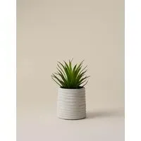 Artificial Mini Air Plant in Ceramic Pot - Natural alternate view