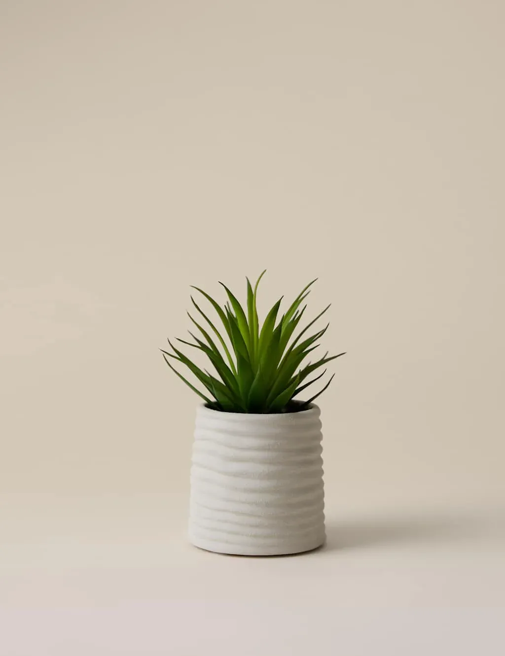 Artificial Mini Air Plant in Ceramic Pot - Natural product