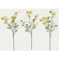 Eucalyptus Erythrocorys Single Stems Set of 3 - Orange alternate view