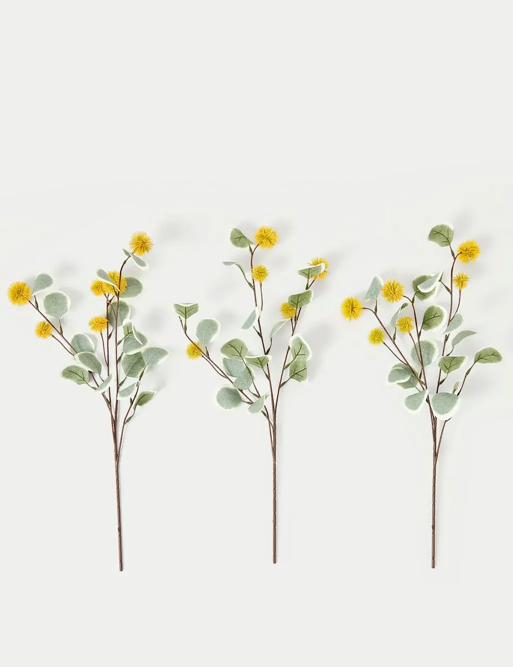 Eucalyptus Erythrocorys Single Stems Set of 3 - Orange product