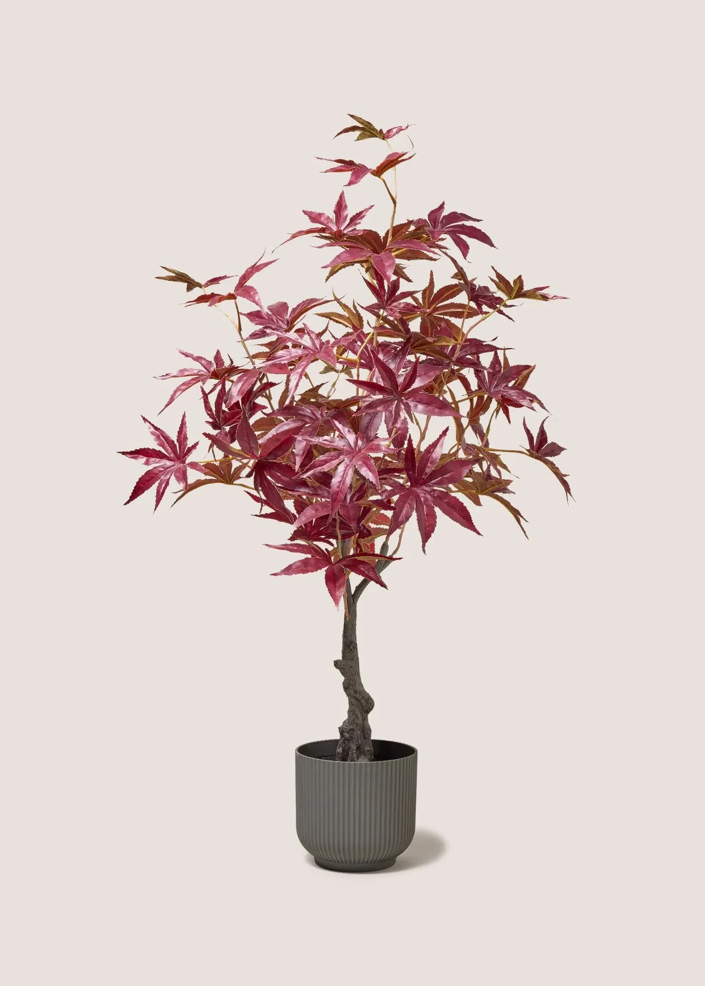 Faux Potted Tree in Ribbed Pot - Burgundy product