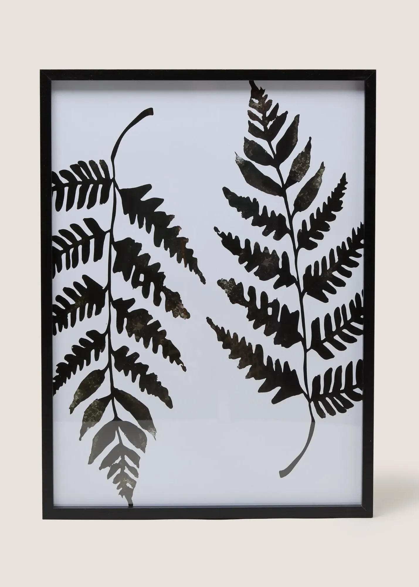 Fern Botanical Wall Art - Black product