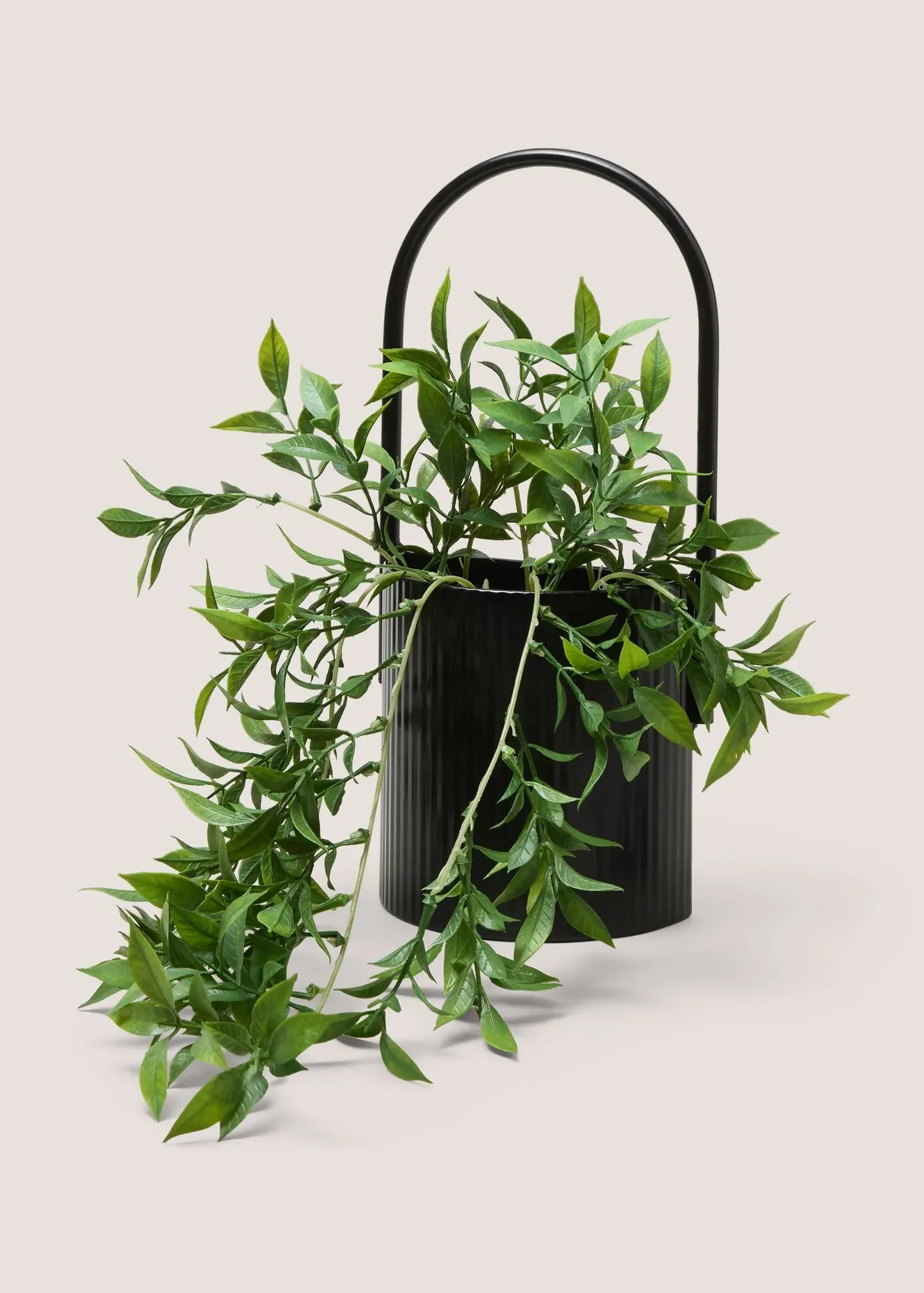 Metal Wall Shelf with Trailing Plant - Black product