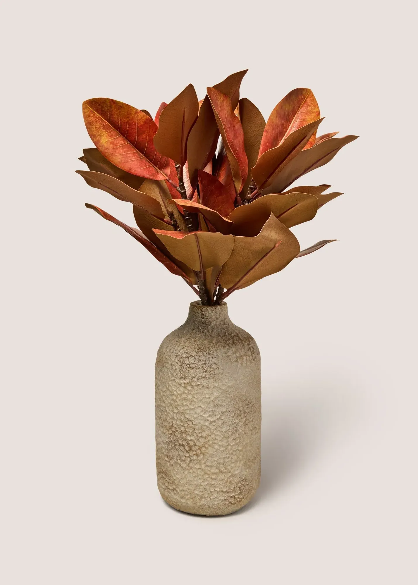 Rust Leaf Plant with Decorative Pot - Orange product