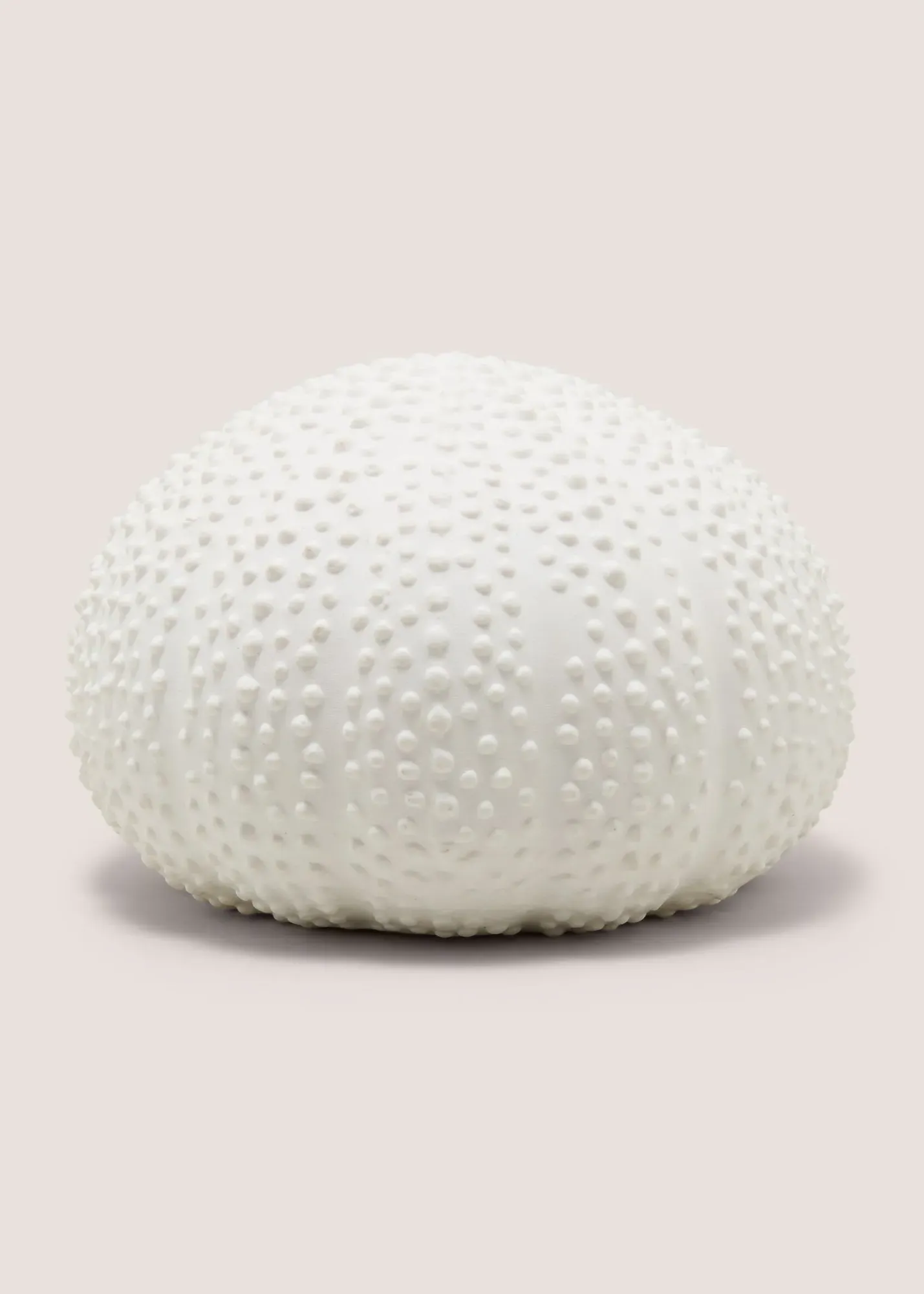 Sea Urchin Ornament - Cream product