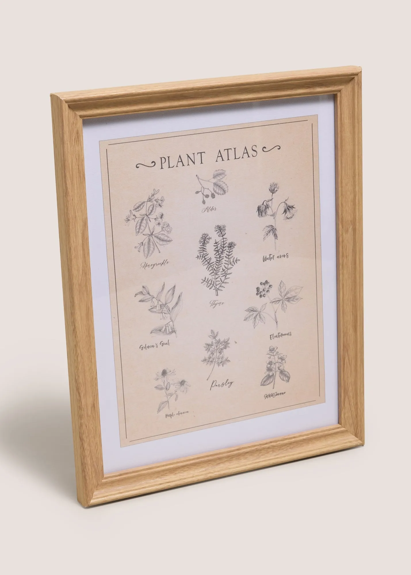 Vintage Botanical Wall Art - Beige, Wood product