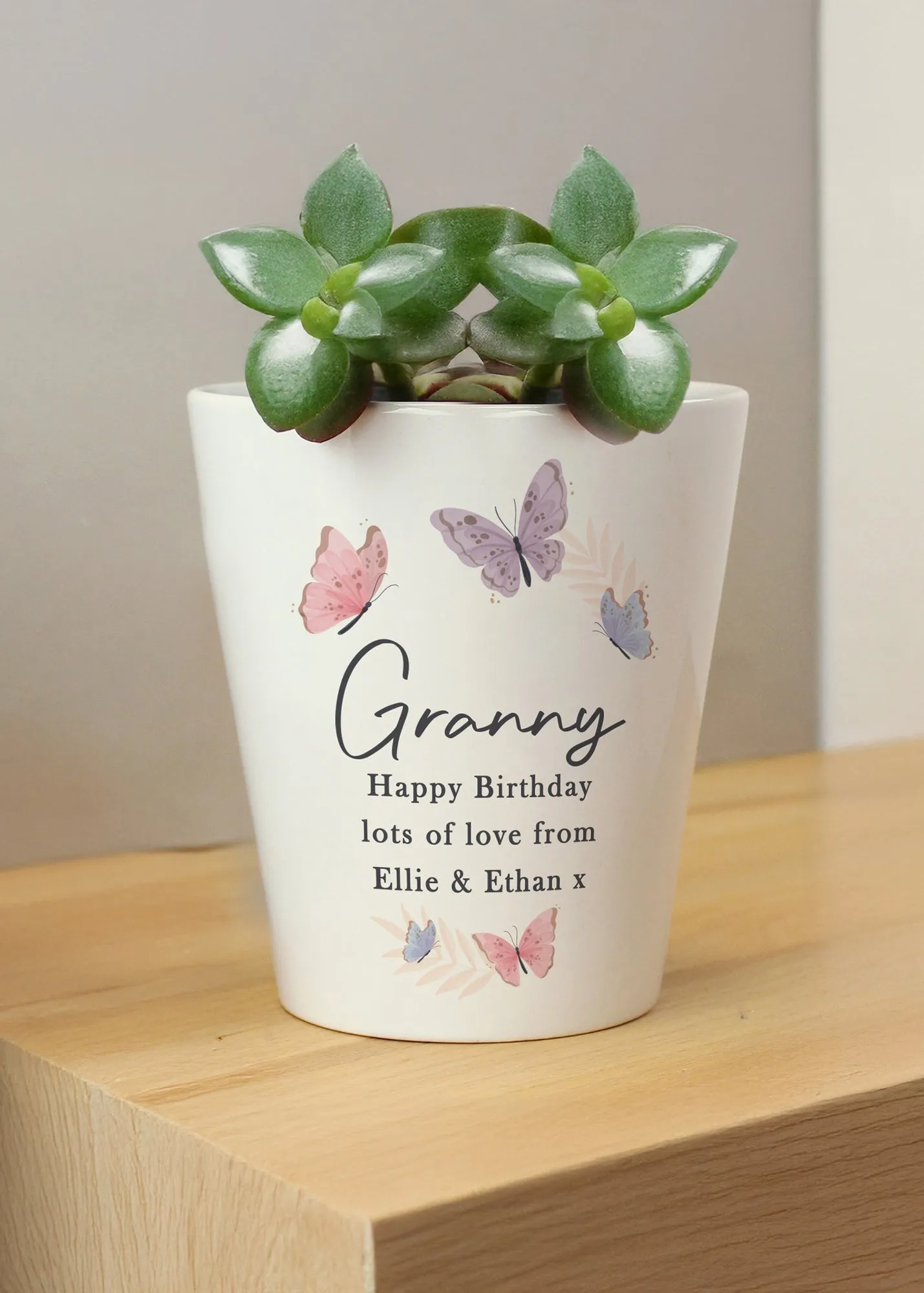 Butterfly Plant Pot - Multi, Ceramic product