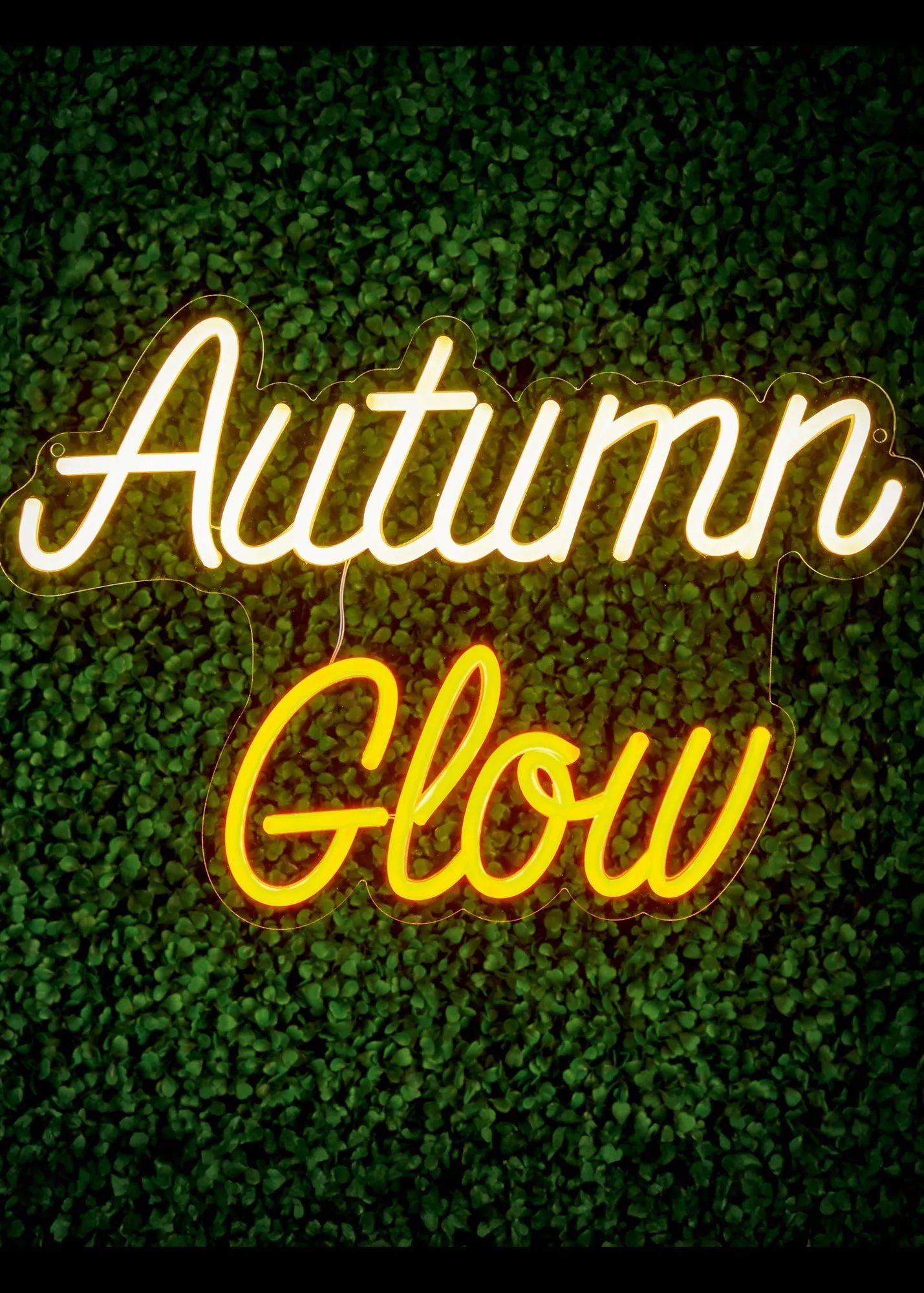 Autumn Glow LED Neon Wall Sign - White, Acrylic PVC product