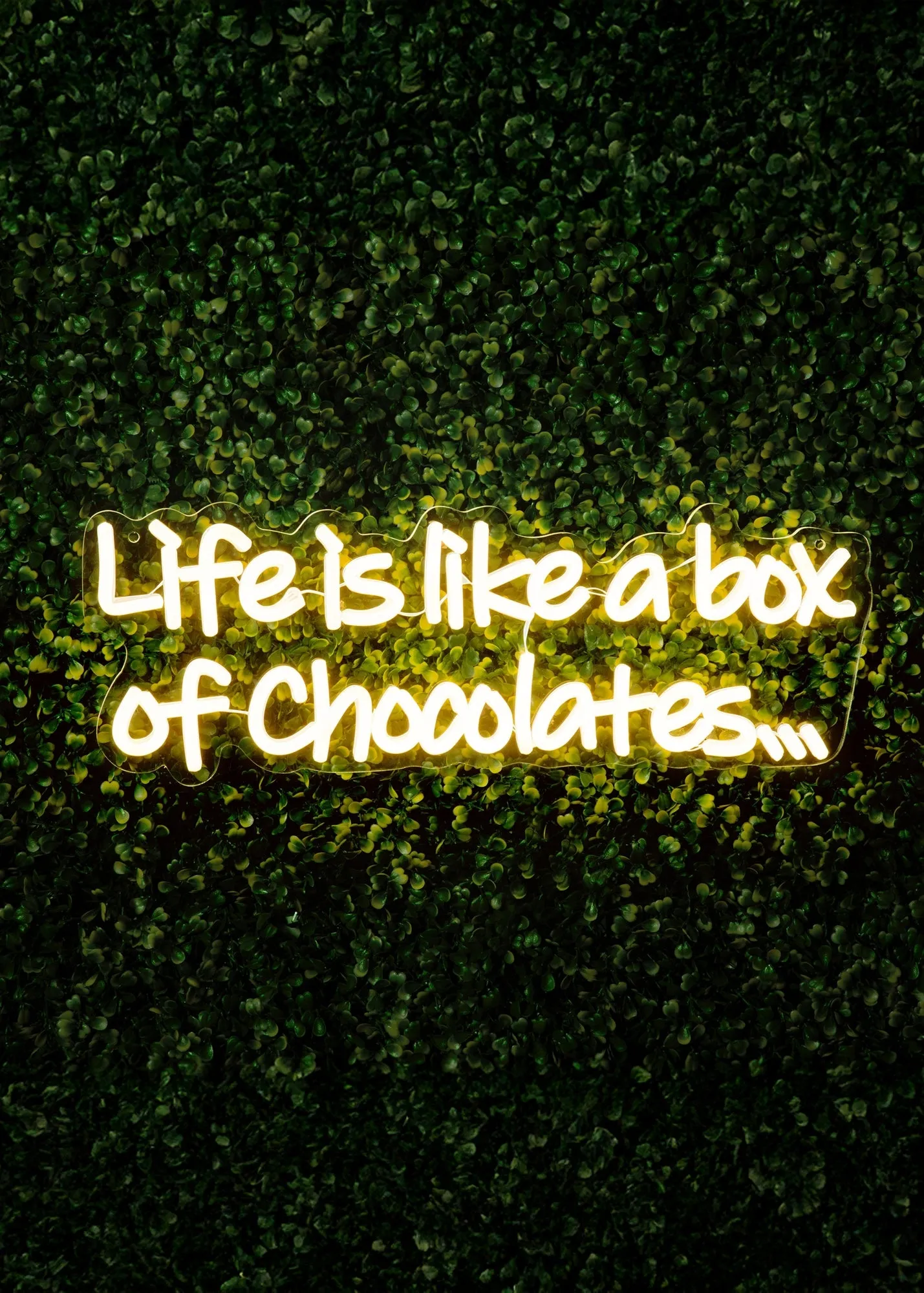 LED Neon Life is Like a Box of Chocolates Sign - White product