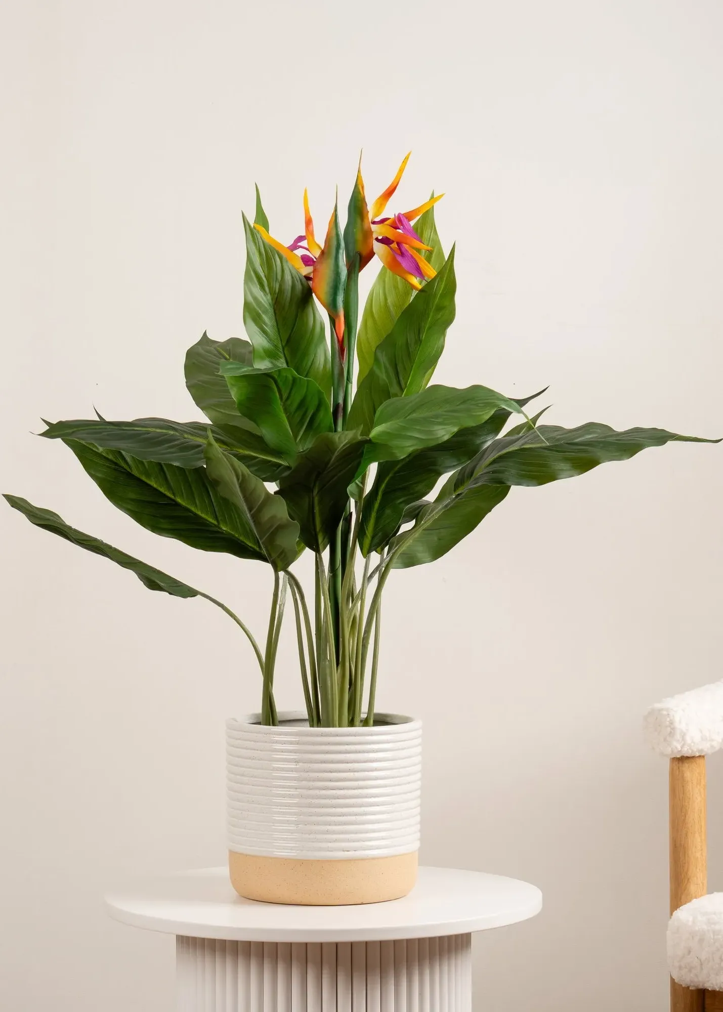 Bird of Paradise Tree with Flower 83cm - Green product