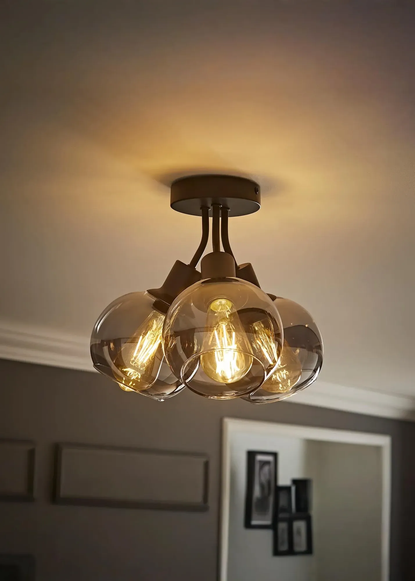 Bellamy Bubble Cluster Ceiling Light - Black, Metal product