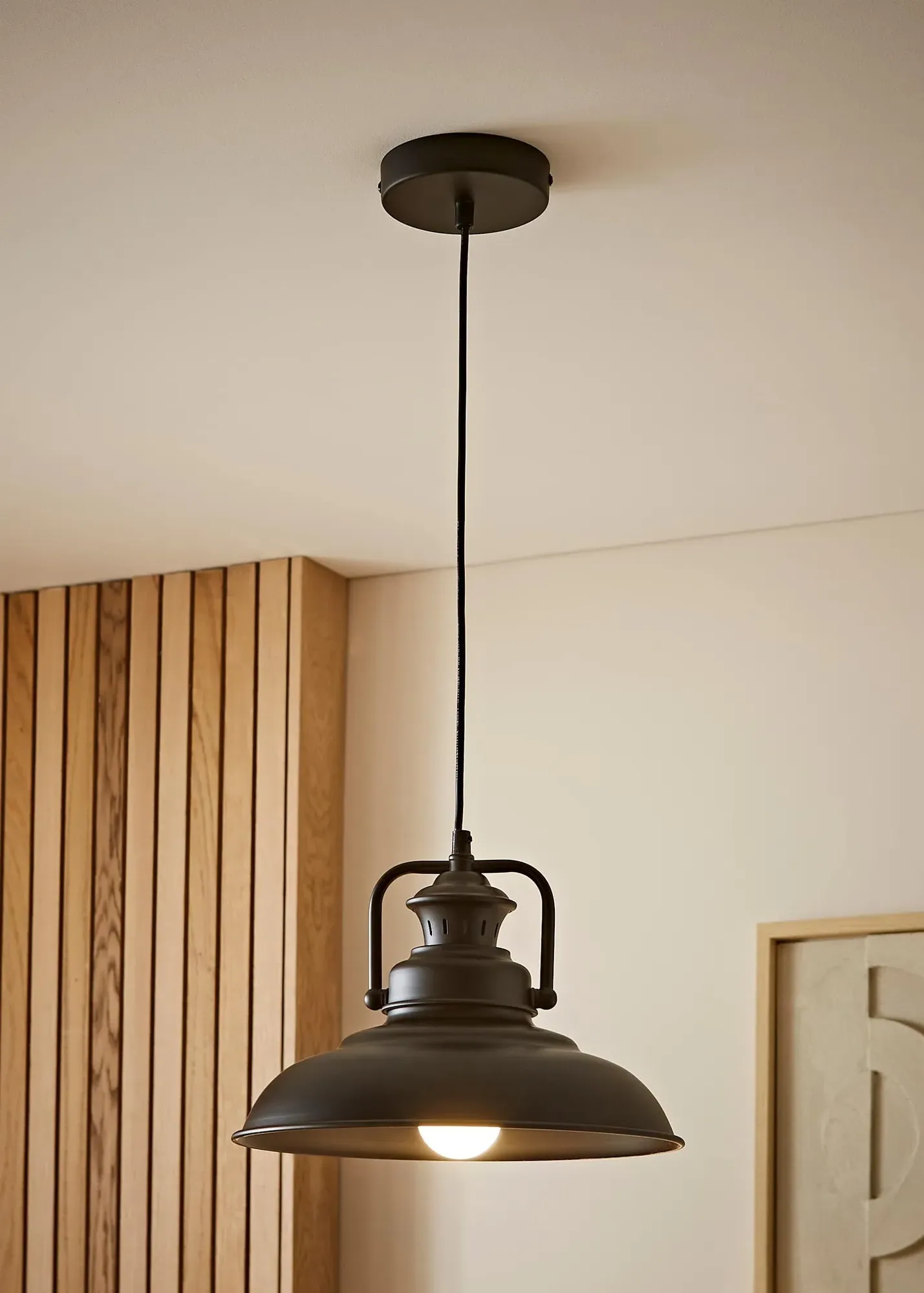 Duomo Dome Ceiling Light - Black, Metal product