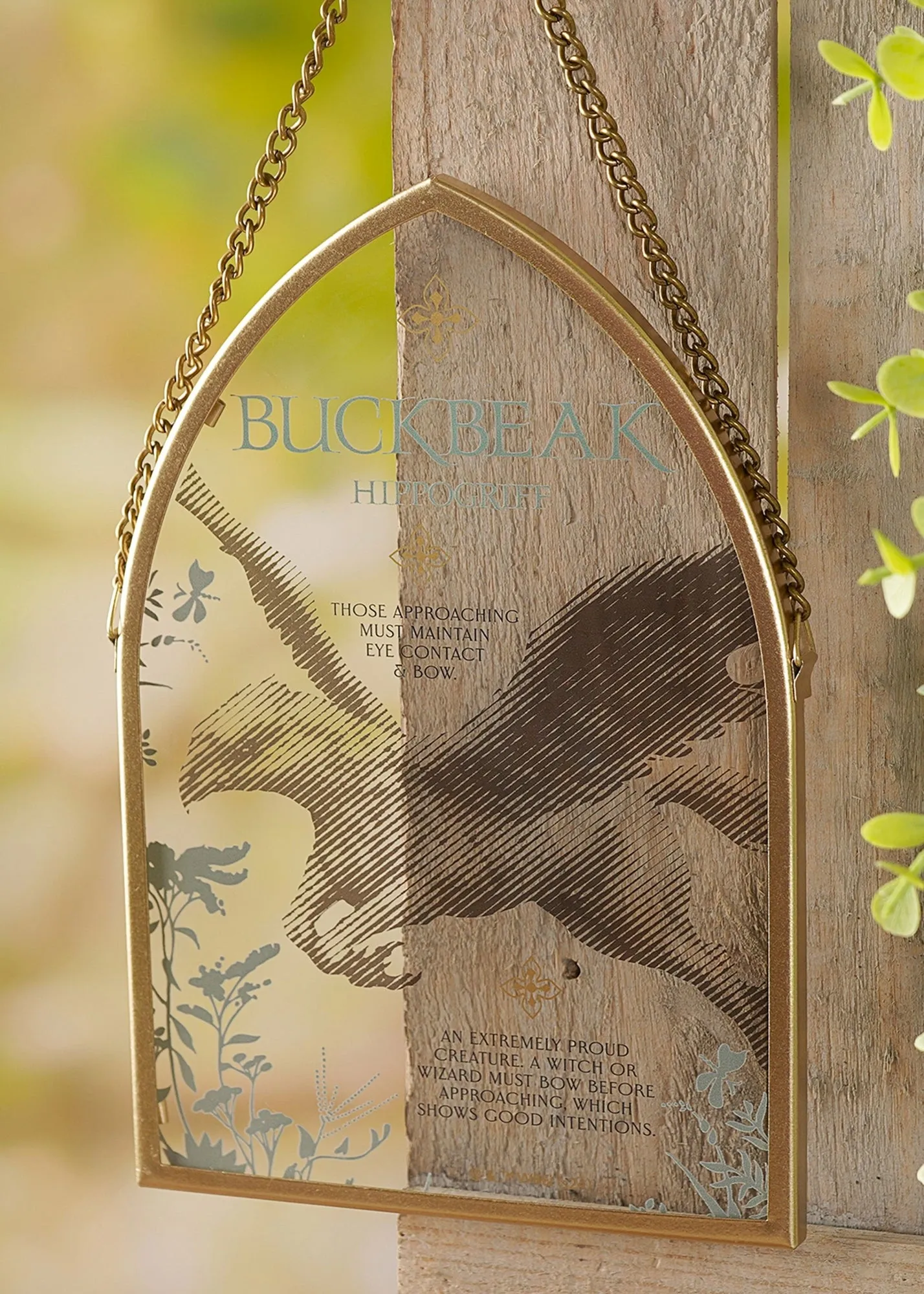 Warner Bros Herbology Arch Plaque Buckbeak - Gold product