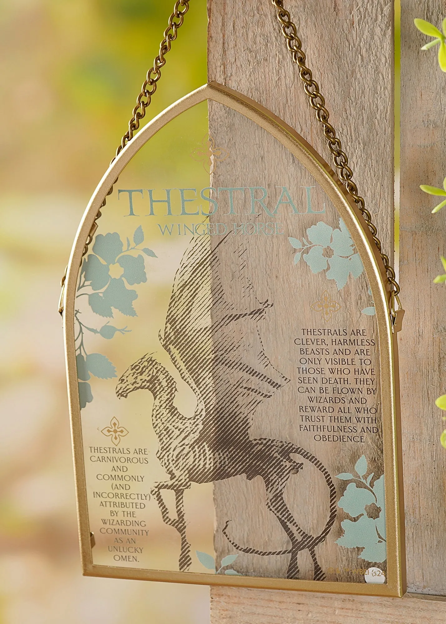 Warner Bros Herbology Thestral Arch Hanging Sign - Gold, Glass product
