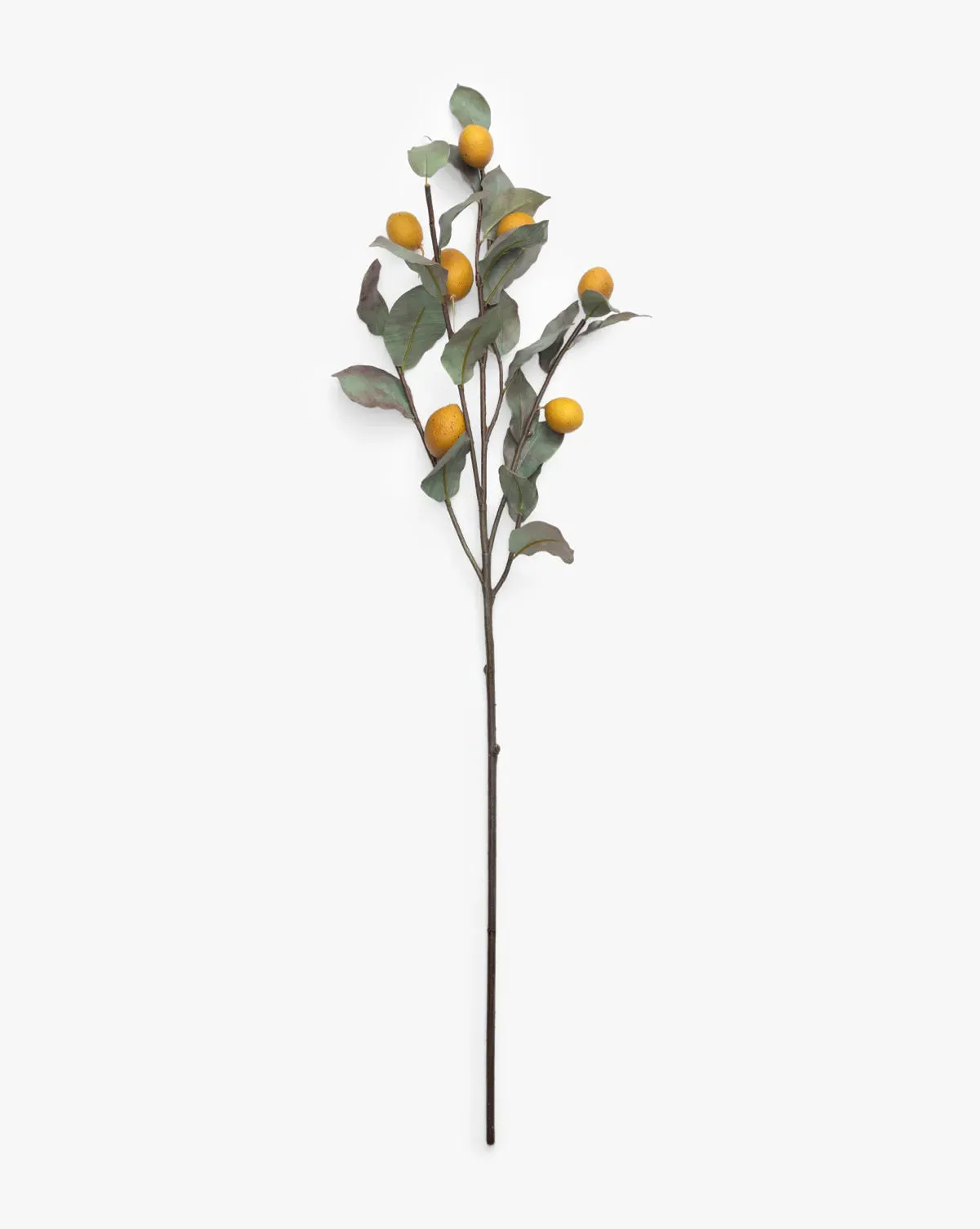 40" Lemon Branch Faux Stem - Yellow, Green product