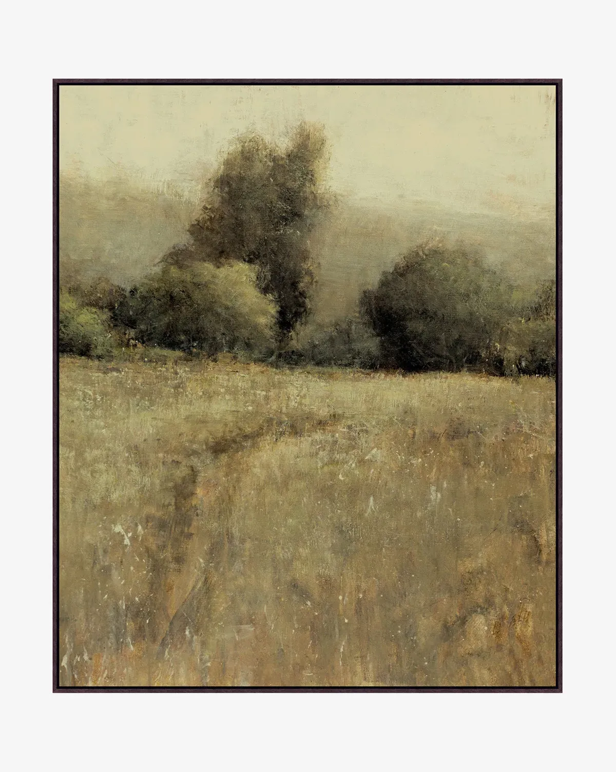 Balmy Meadow by Don Bishop Framed Canvas Print product
