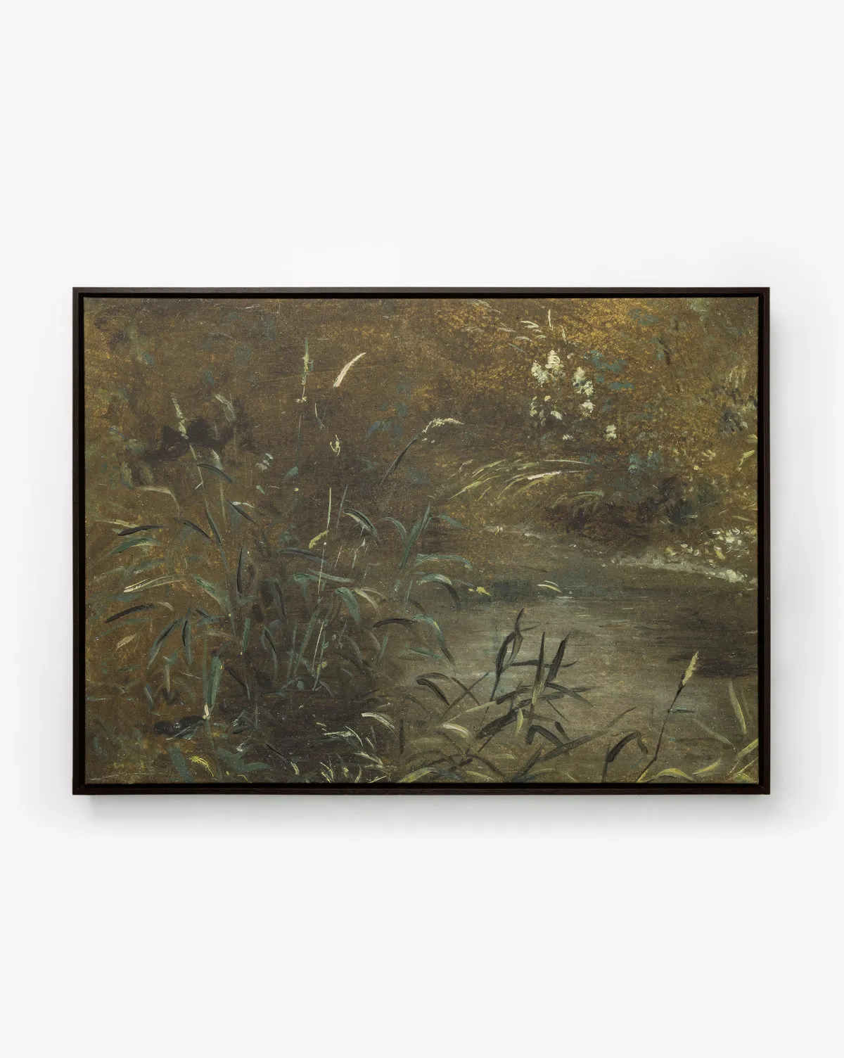 Bank Grasses Giclee Canvas Wall Art - Green, Brown product