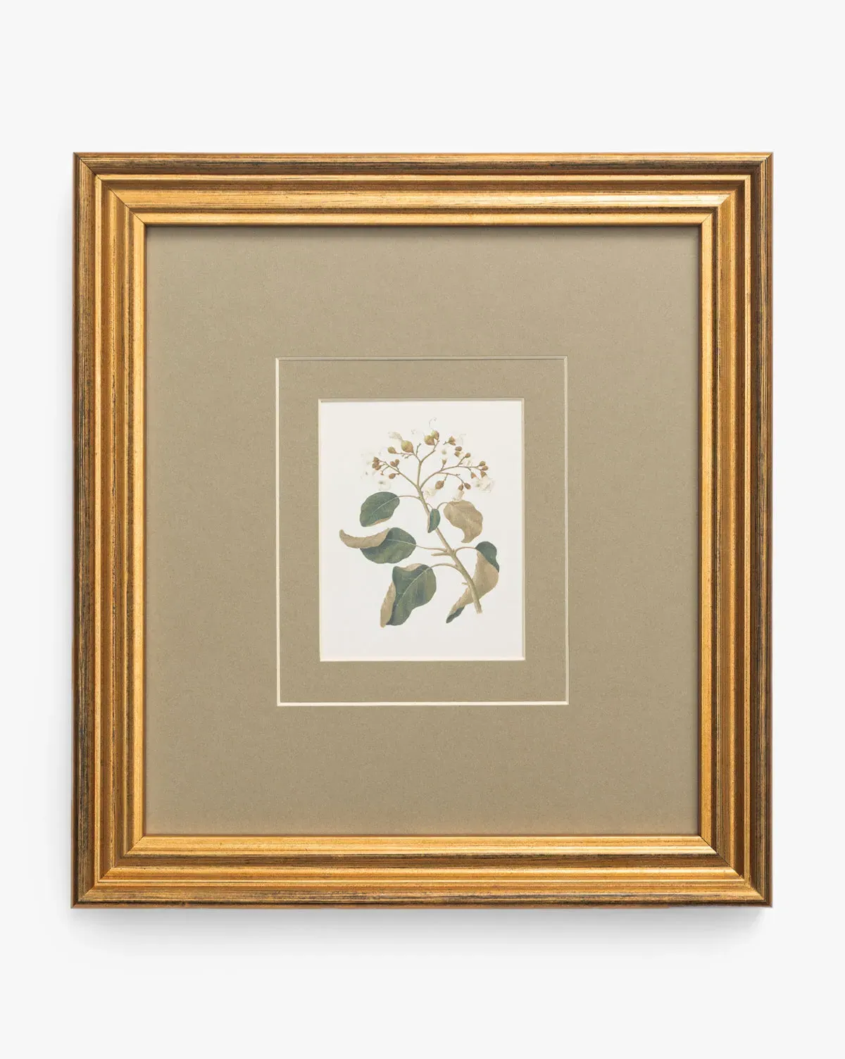 Blossoming Branch Framed Giclée Print - Antique Gold, Black product