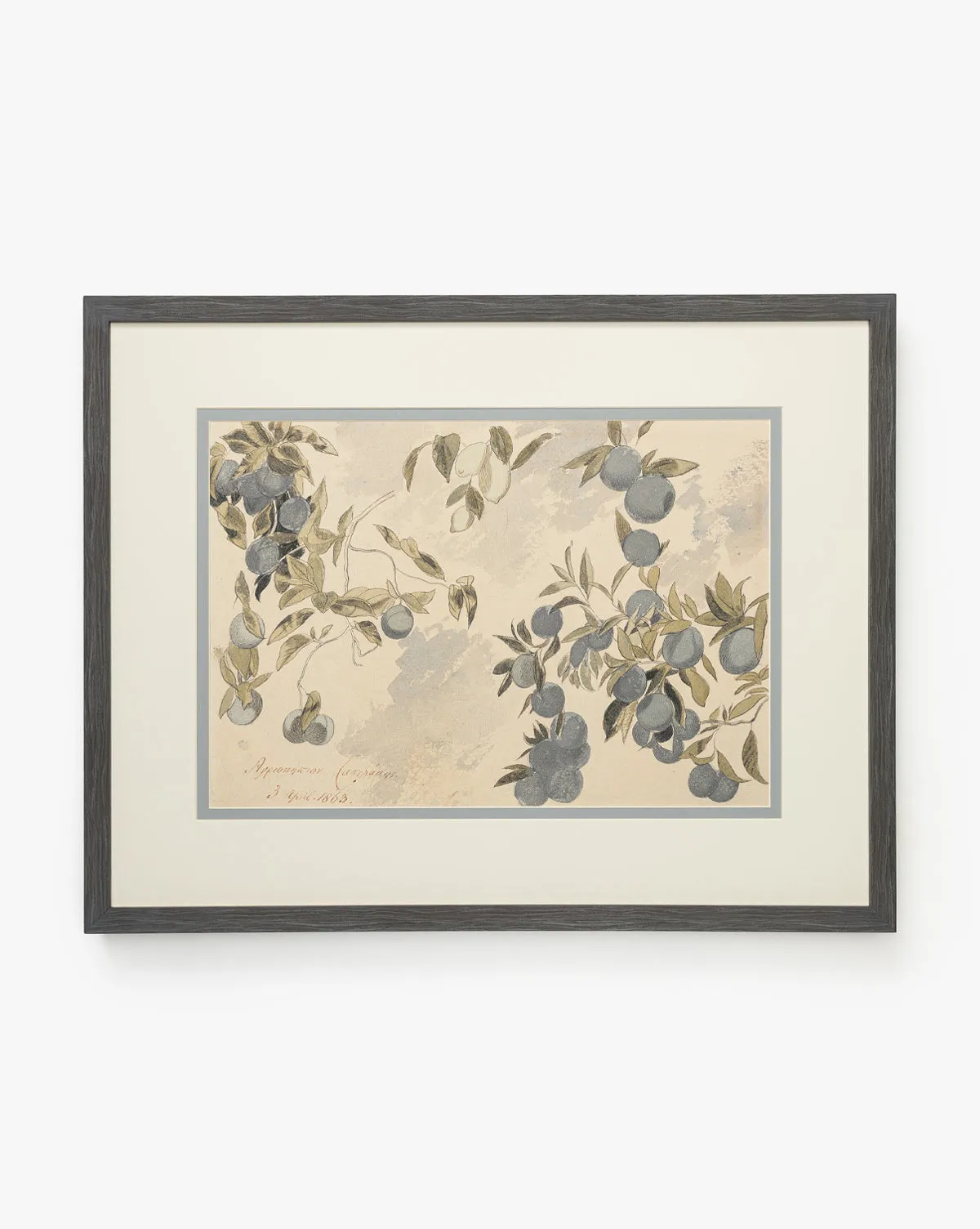 Blue Fruits Botanical Wall Art - Charcoal Frame product