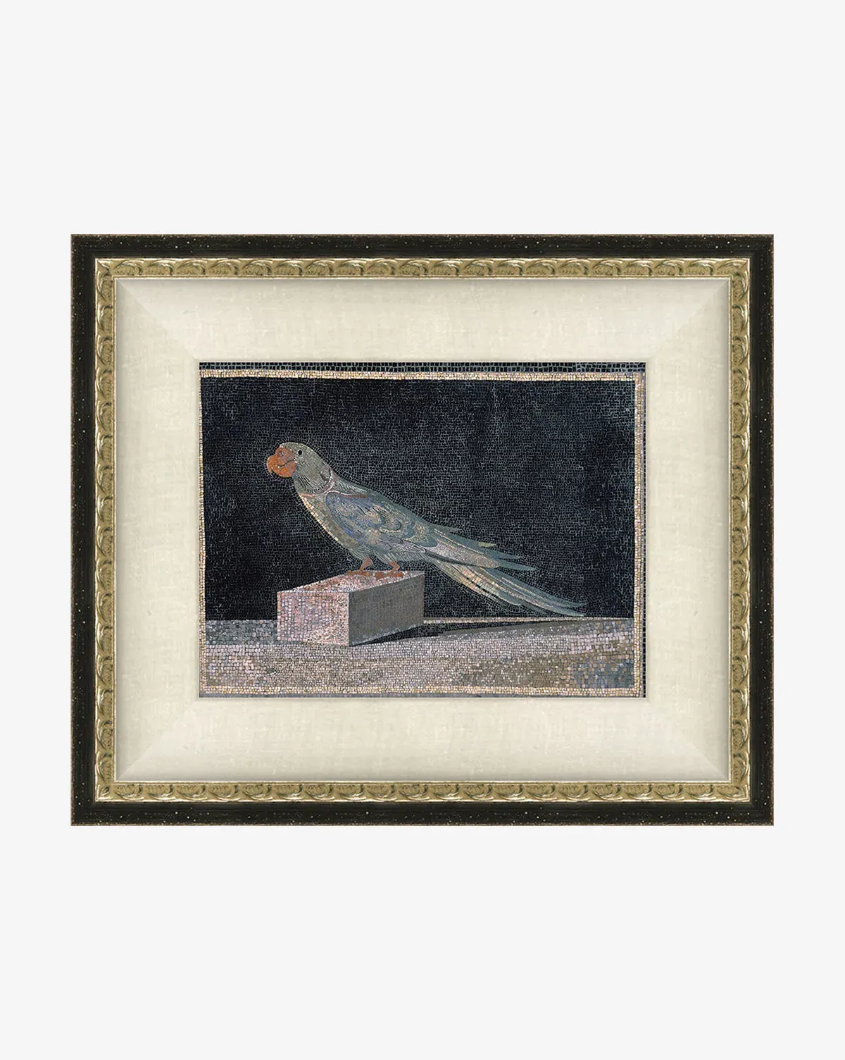 Blue Parrot Giclee Print - Blue, Black product