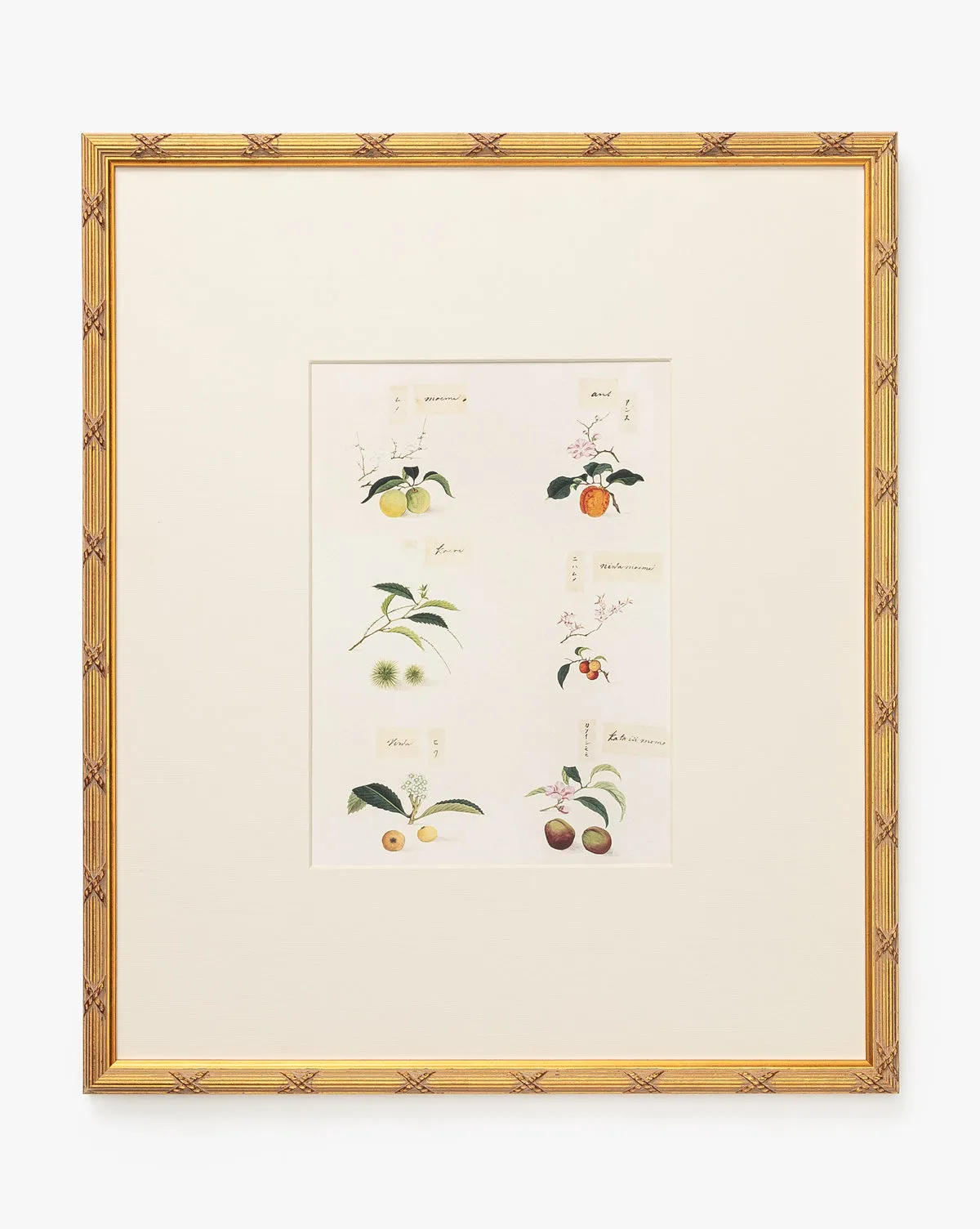 Botanical Grid 1 Framed Giclee Print - Gold product