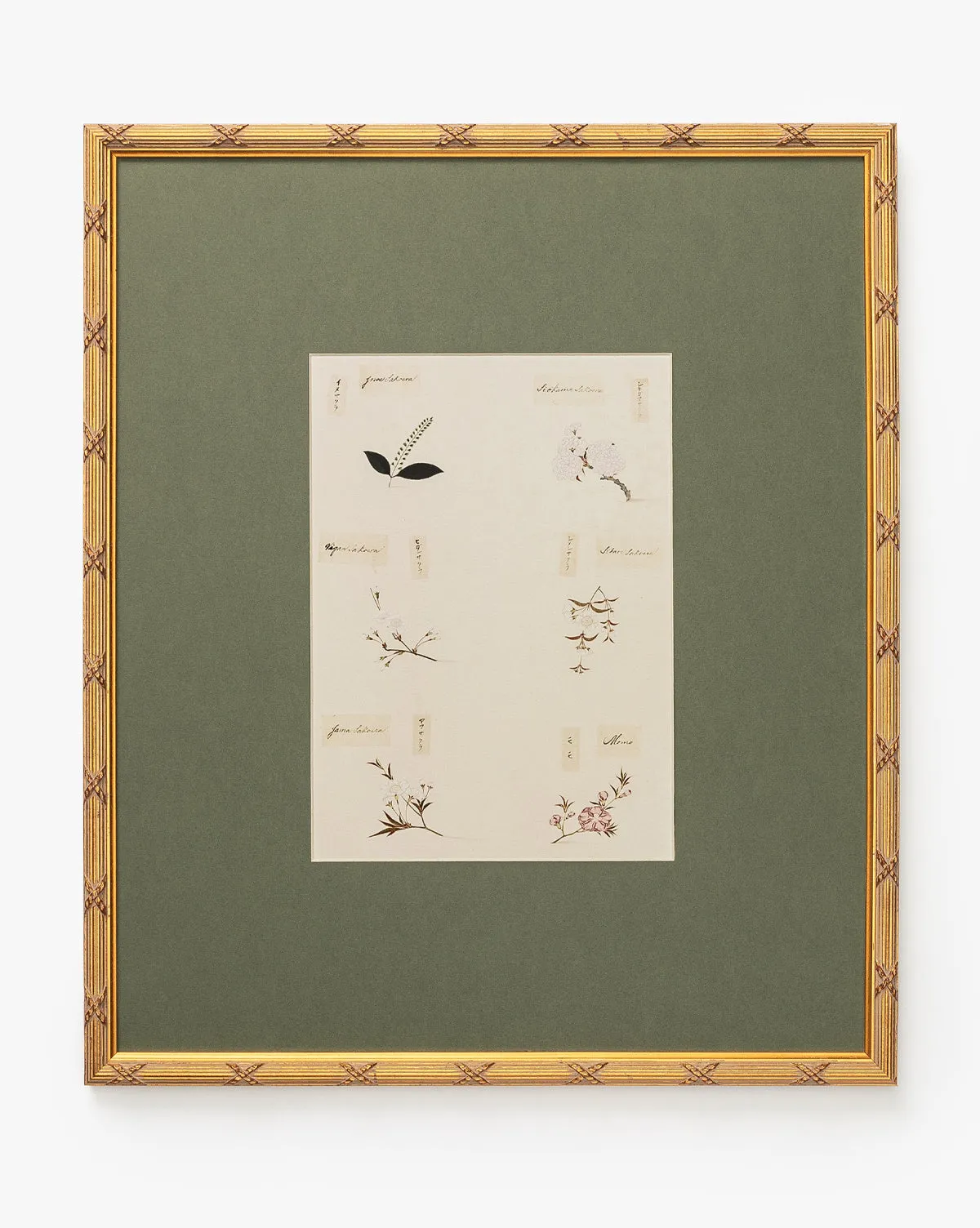Botanical Grid 2 Framed Giclee Print - Gold product