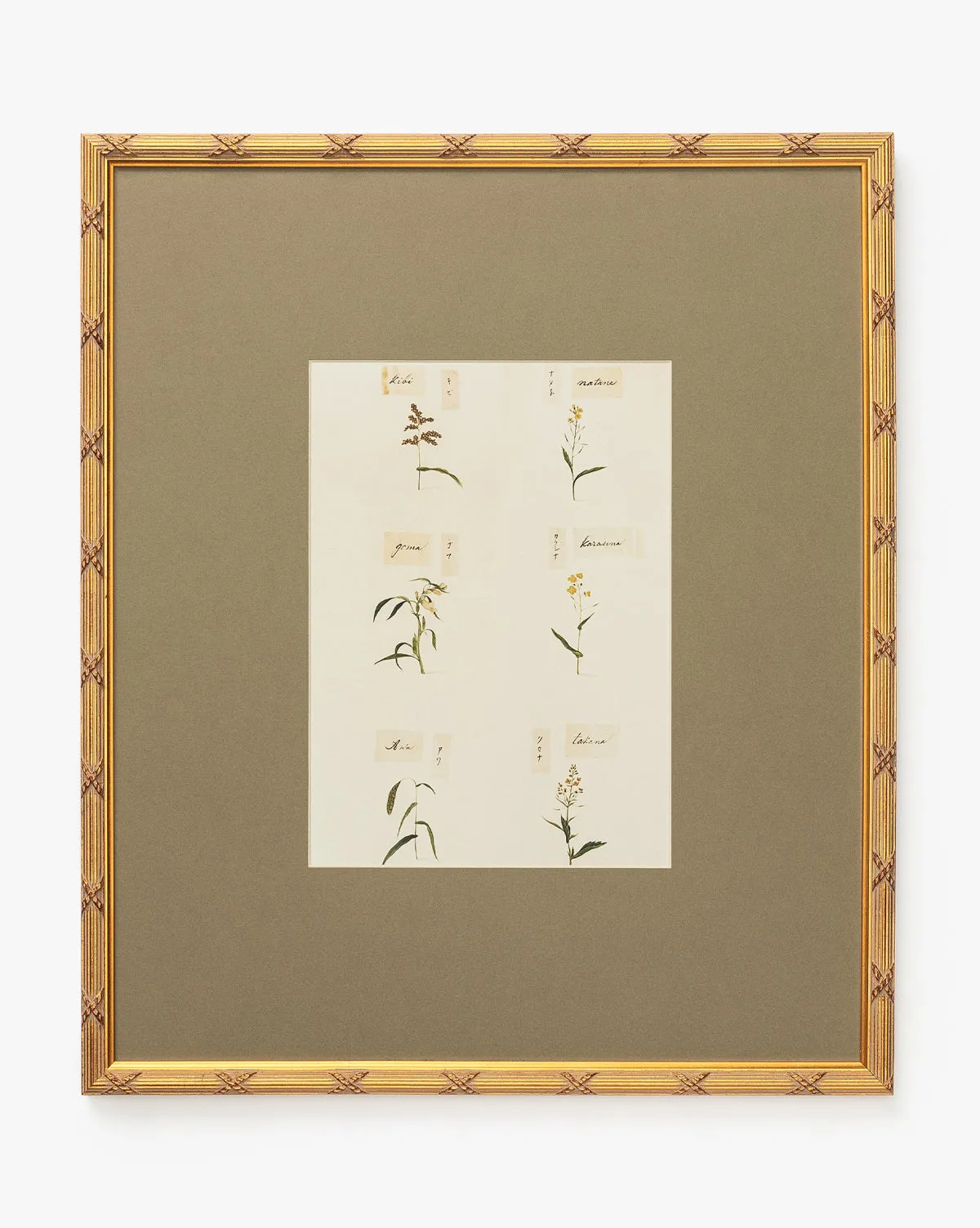 Botanical Grid 3 Framed Giclee Print - Gold product