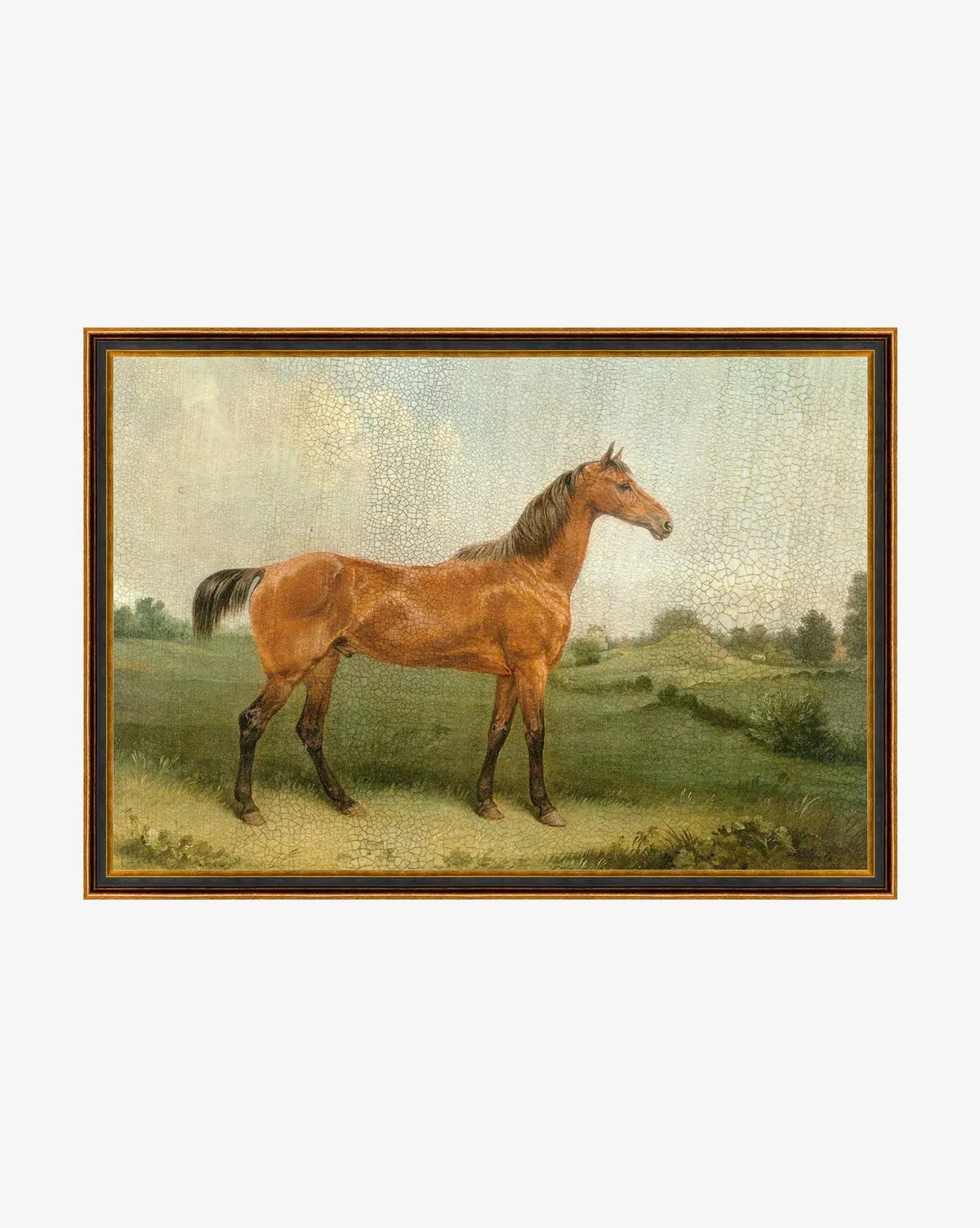 Brown Horse Framed Canvas Wall Art - Gold, Wood product