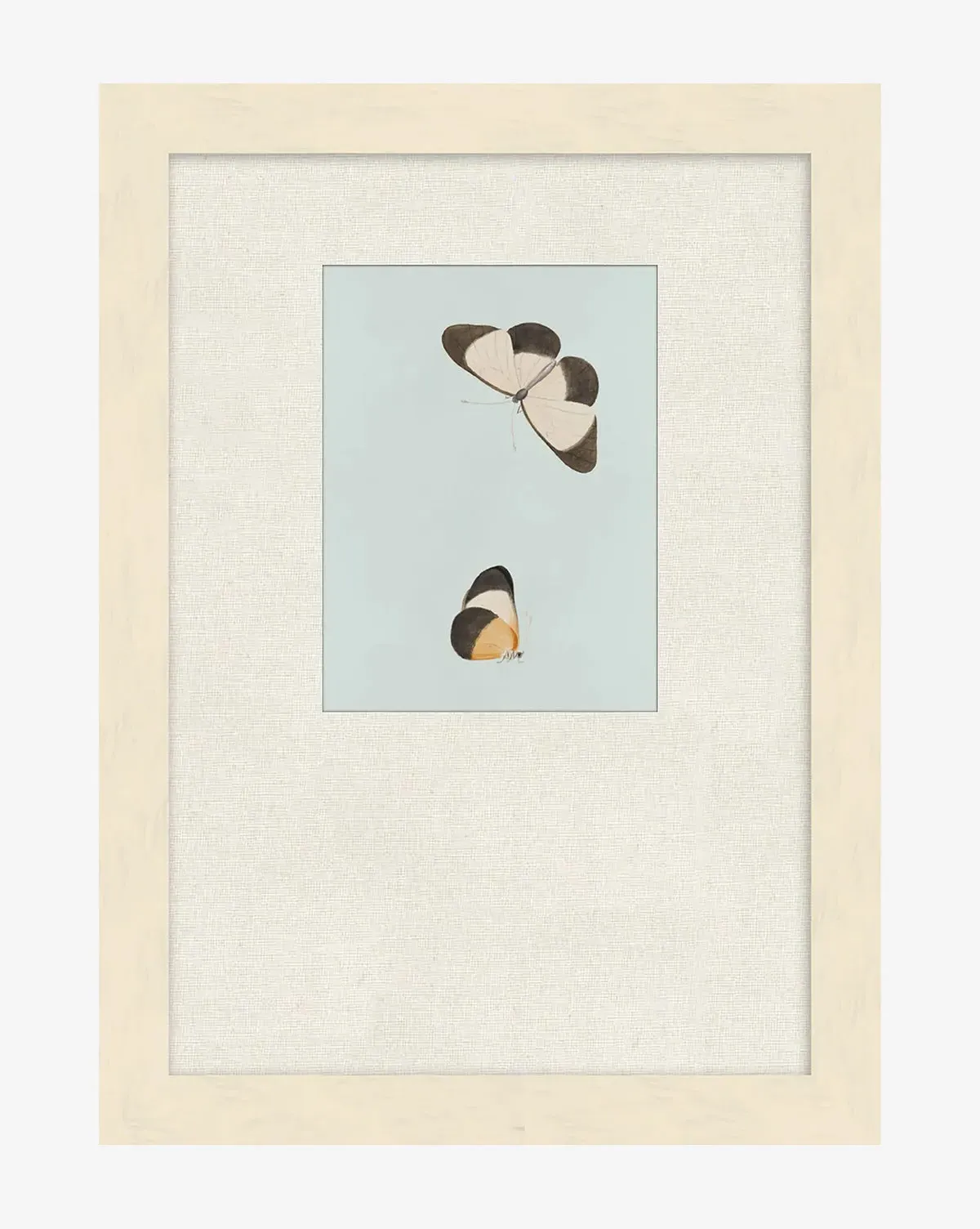 Butterflies Study I Giclée Print - Matte Paper product
