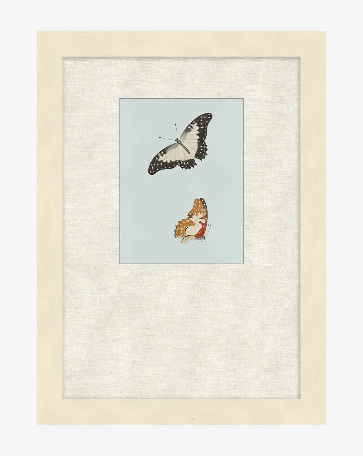Butterflies Study II Wall Art - Giclée Print, Matte Paper product