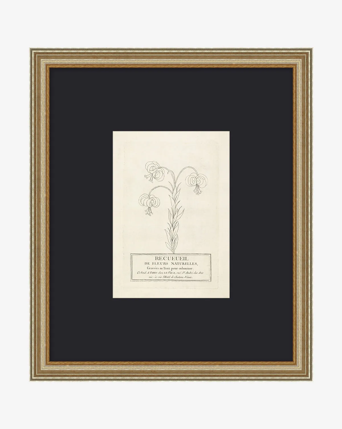 Collection Of French Flowers Giclée Print - Matte product