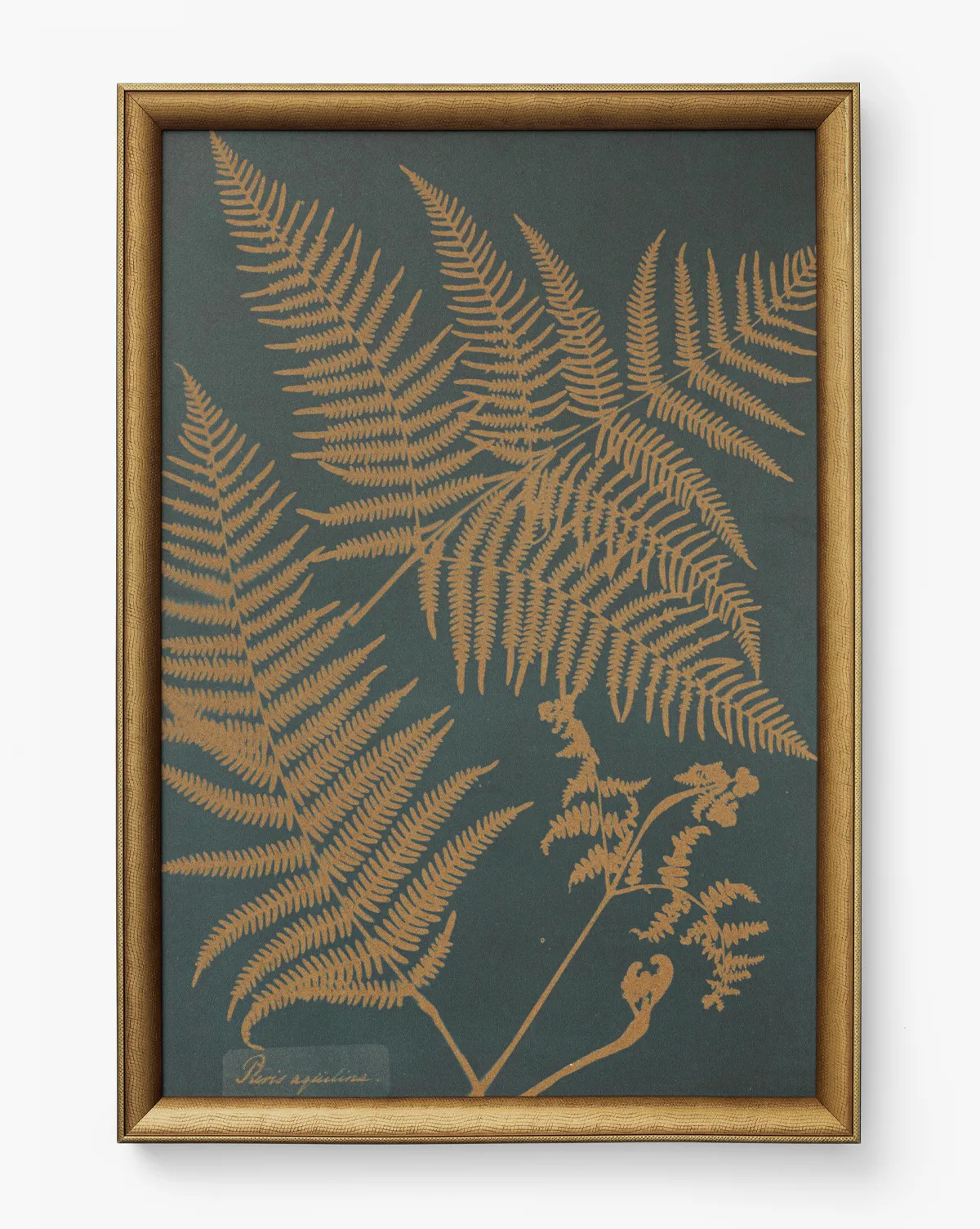 Copper Botanical 2 Framed Wall Art - Copper product