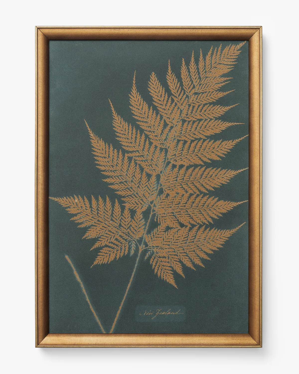 Copper Botanical III Framed Wall Art - Copper product