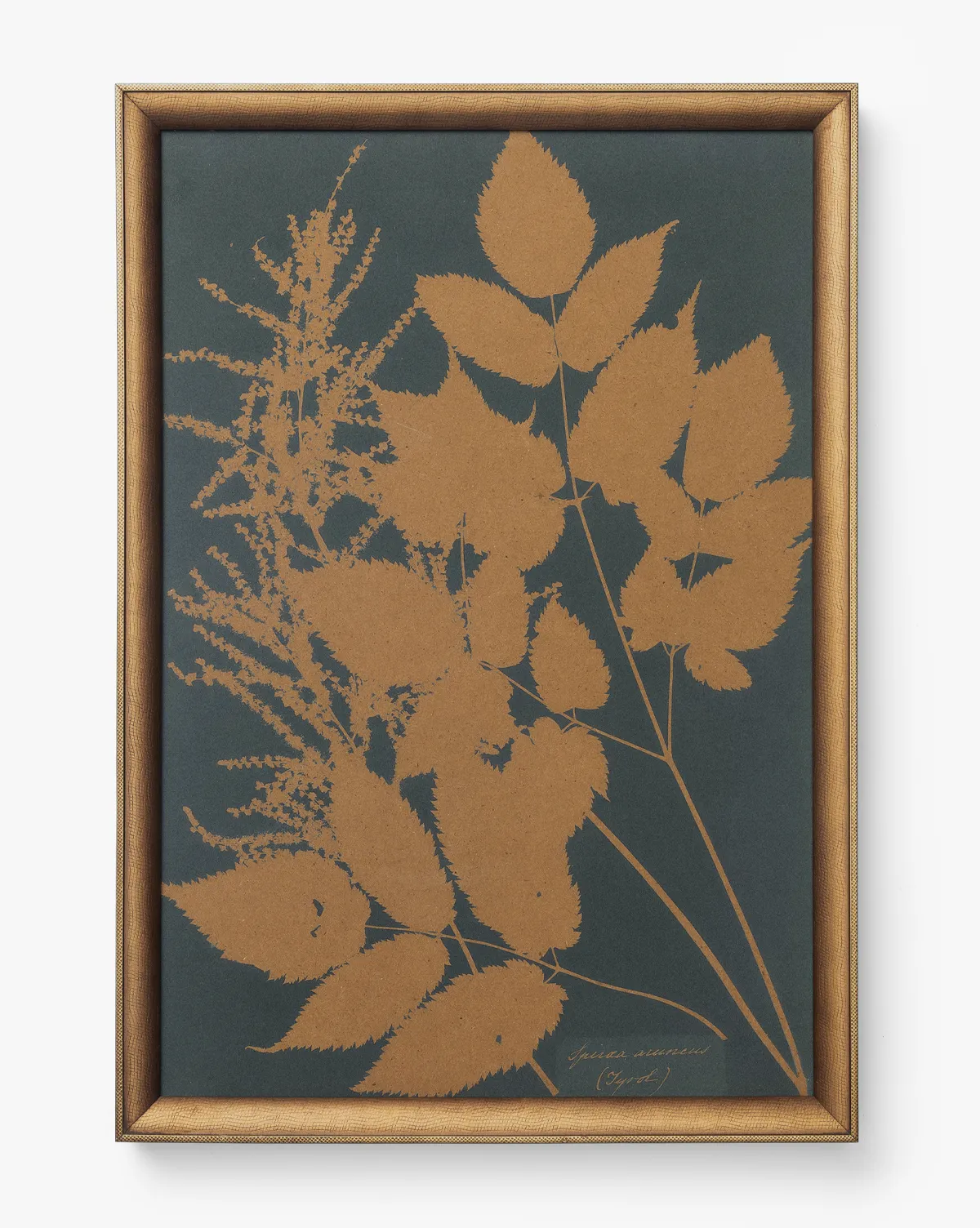 Copper Botanical IV Framed Wall Art - Copper product