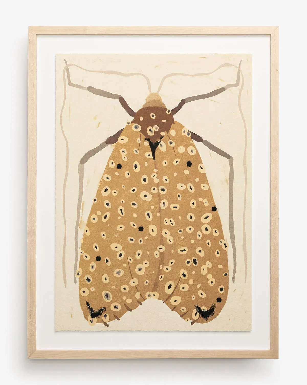 Coup d'Esprit Moth IV Framed Artwork - Neutral, Maple product