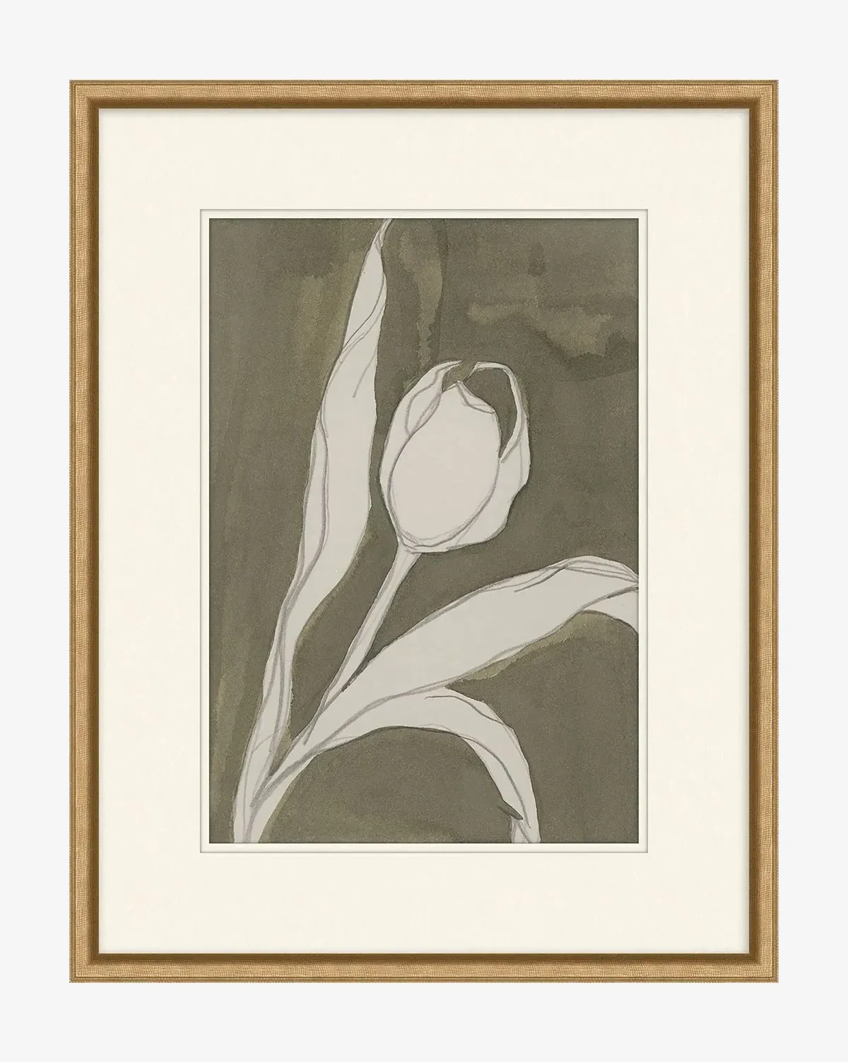 Delicate Tulip I by Rebekah Webb Framed Print - Gold product