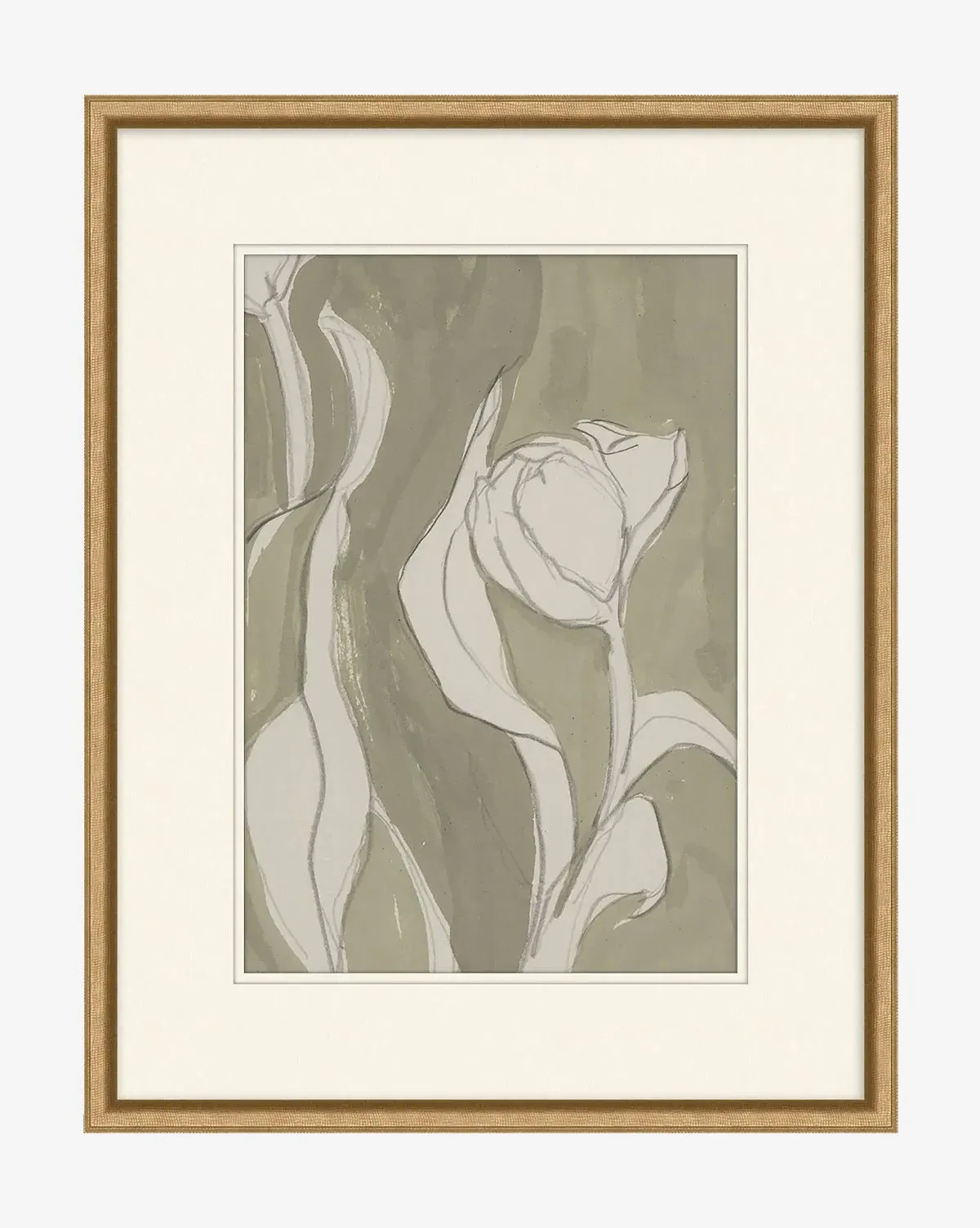 Delicate Tulip II by Rebekah Webb Framed Giclee Print - Gold product