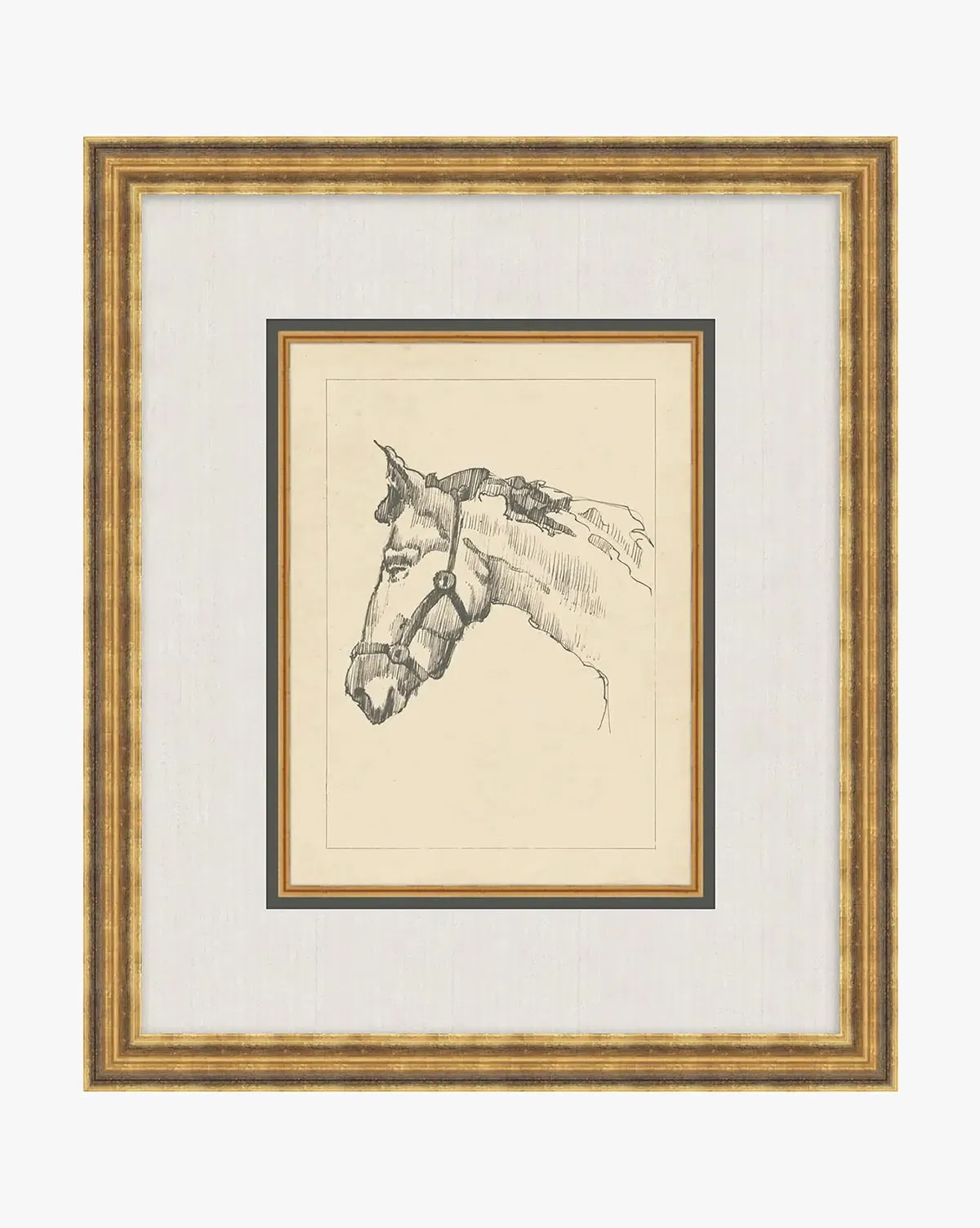 Equine Lines 1 Framed Wall Art - Gold product