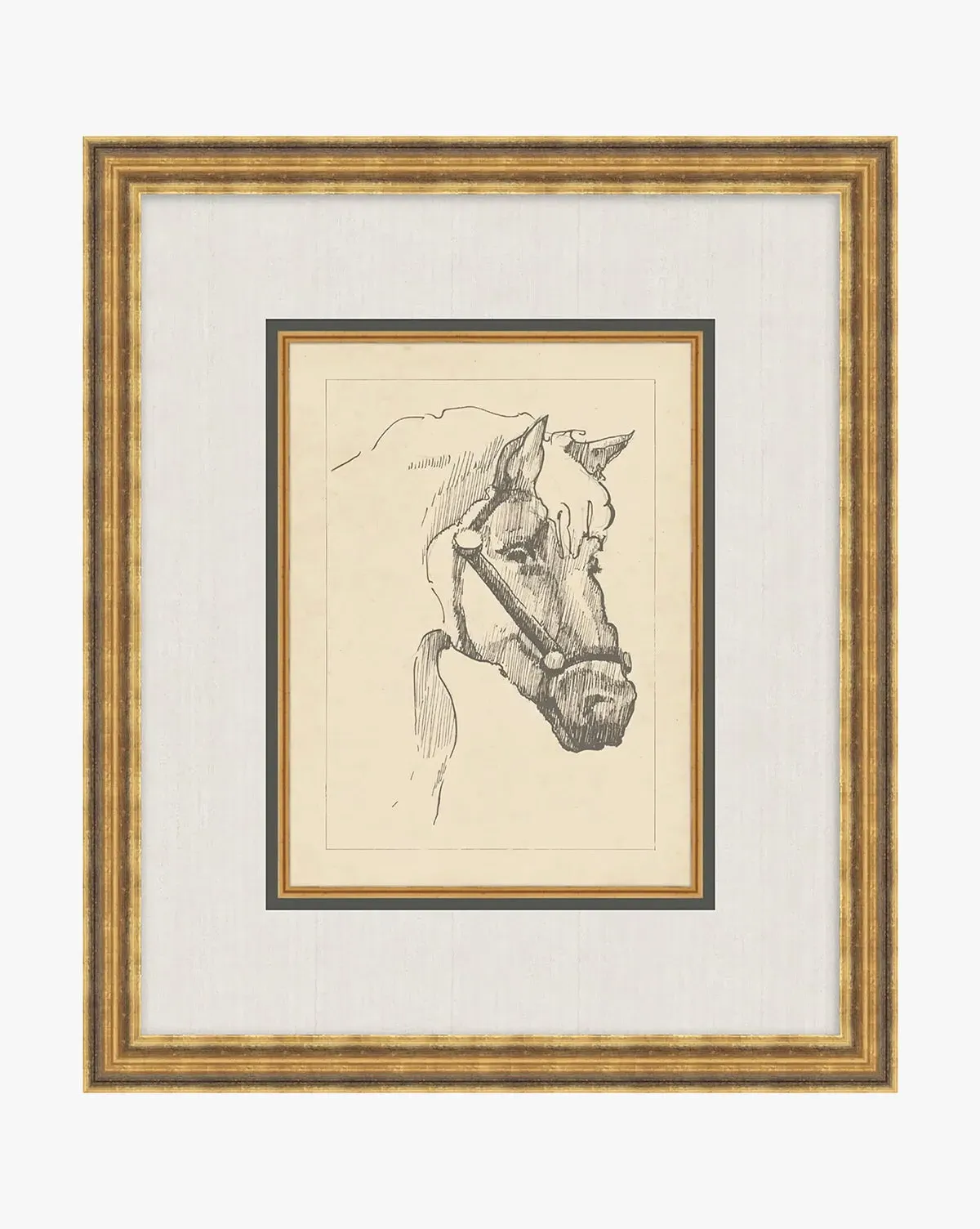 Equine Lines 2 Framed Wall Art - Gold product