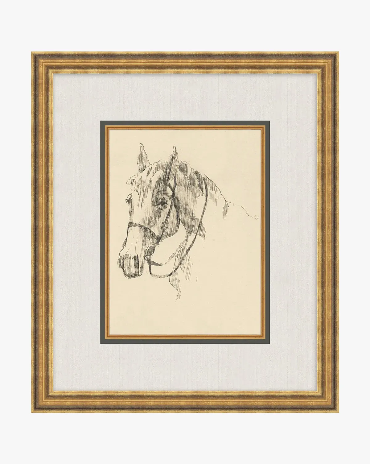 Equine Lines 3 Framed Giclée Print - Gold product