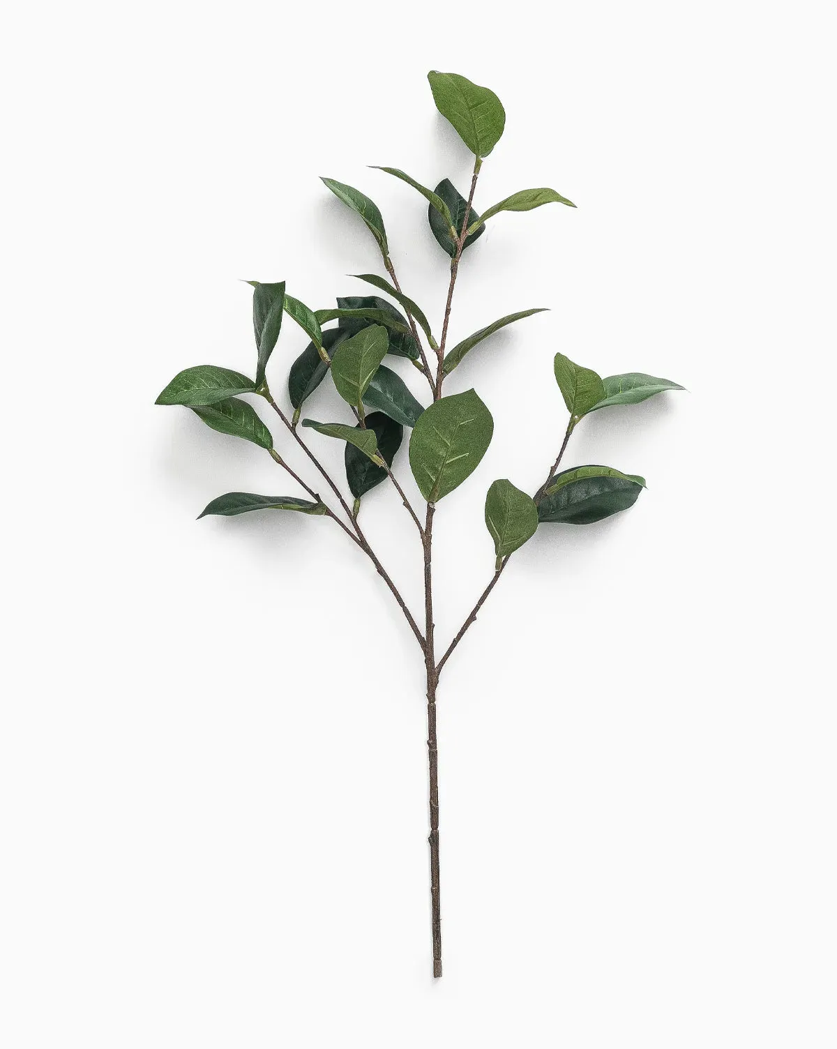 Faux Gardenia Leaf Stem product