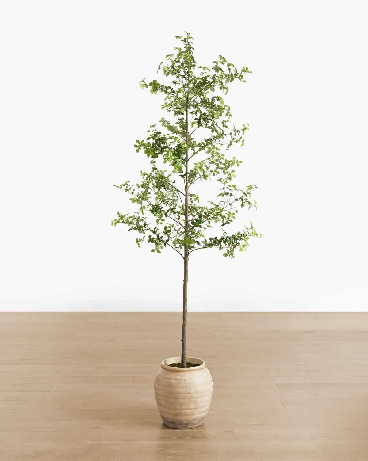 Faux Japanese Quince Tree 10' product