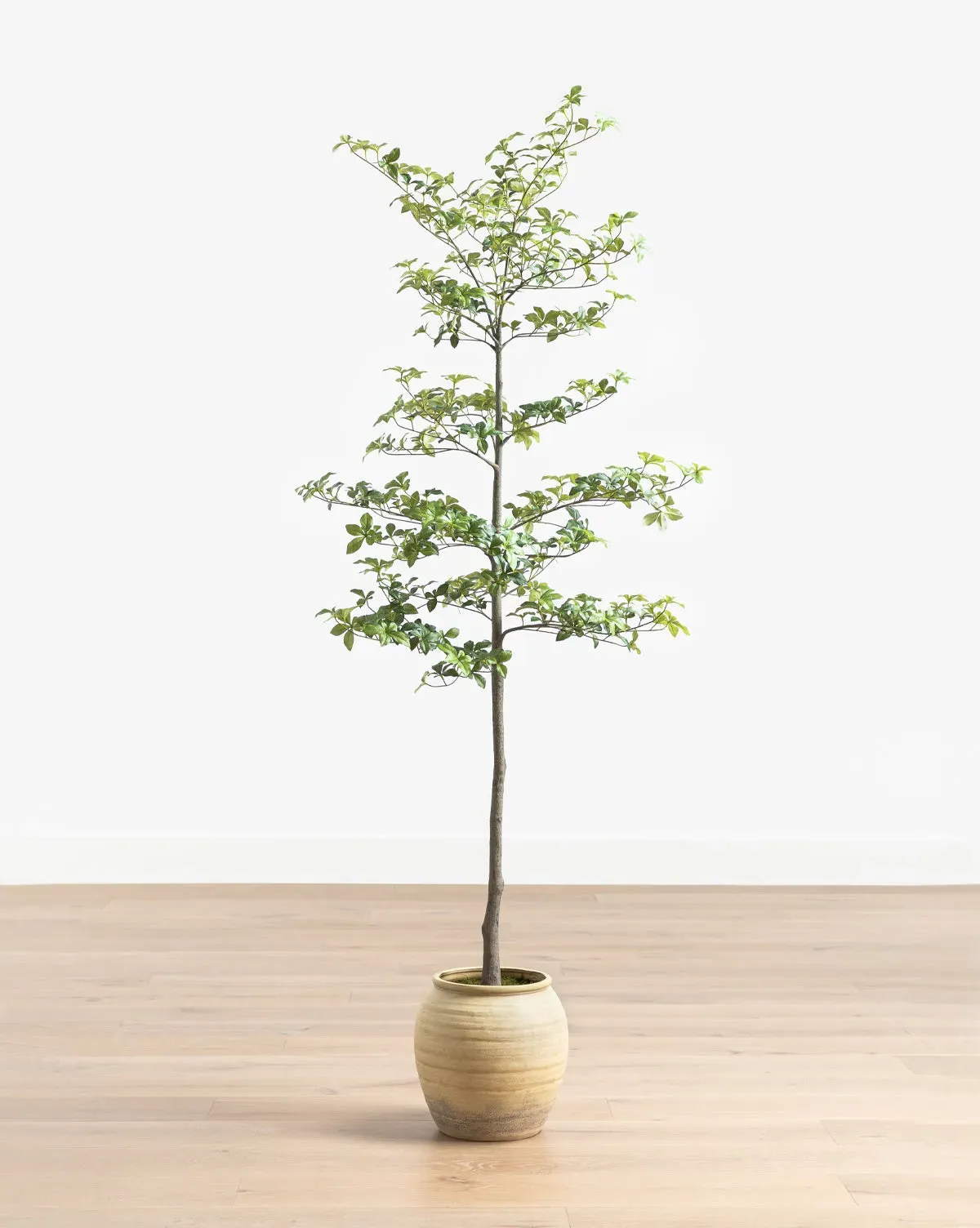 Faux Japanese Quince Tree 7ft product