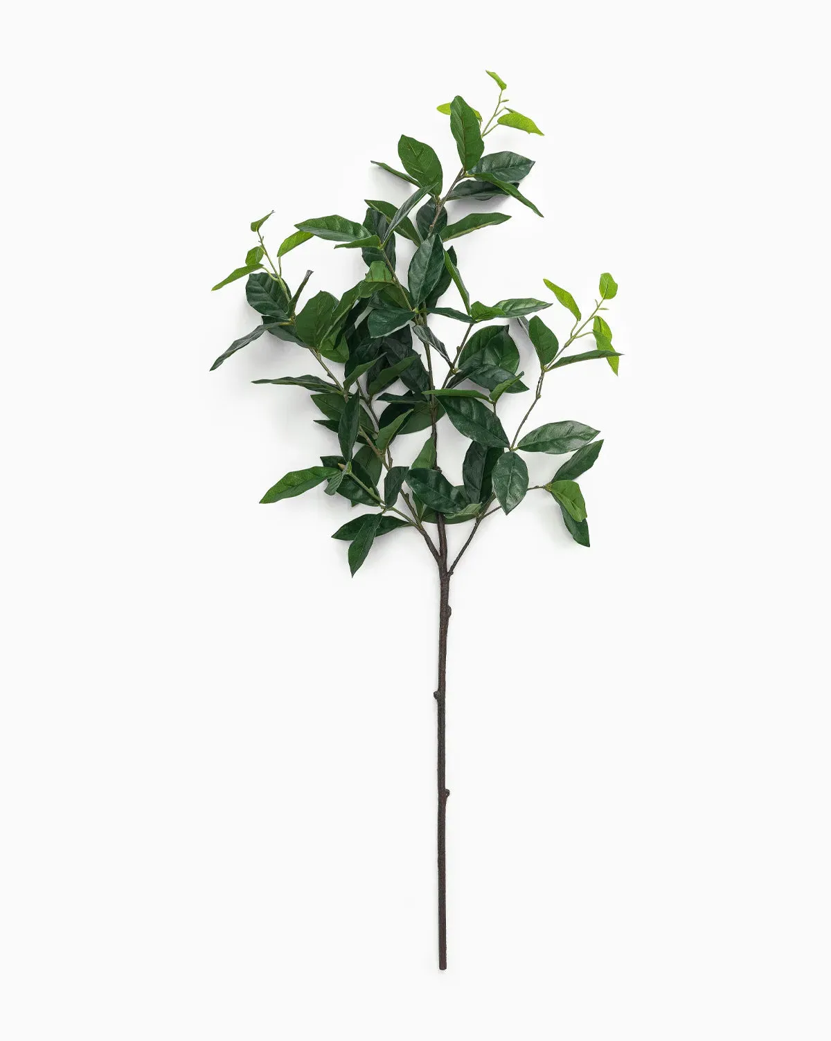 Faux Laurel Leaf Branch product