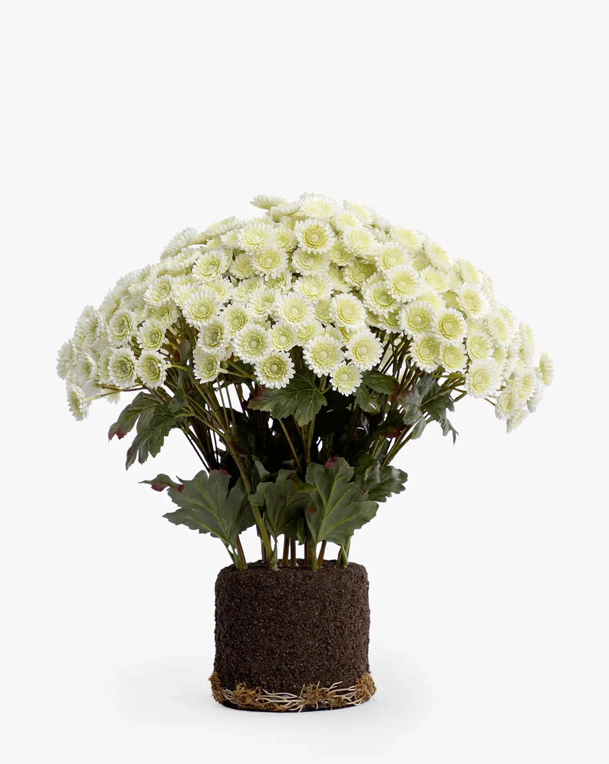 Faux Mum Drop-In Floral Arrangement - Ivory product