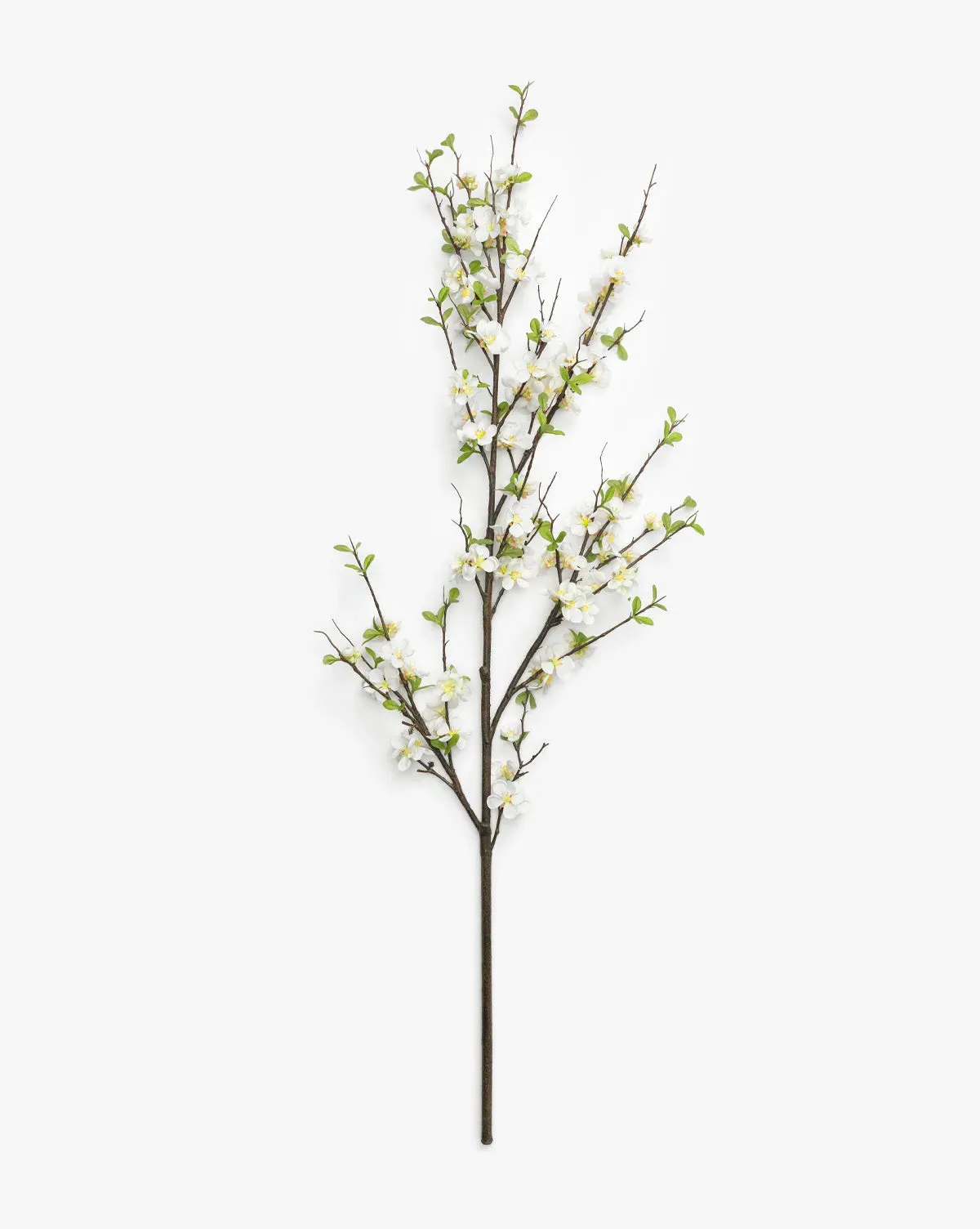 Faux Quince Blossom Branch product