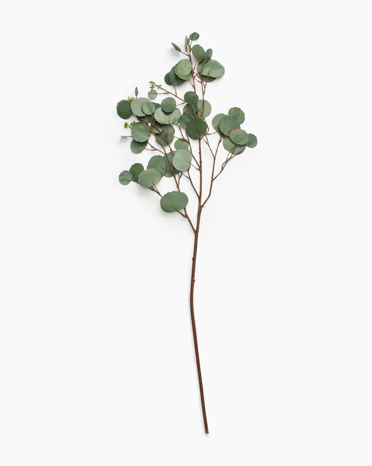 Faux Seeded Dollar Eucalyptus Stem product