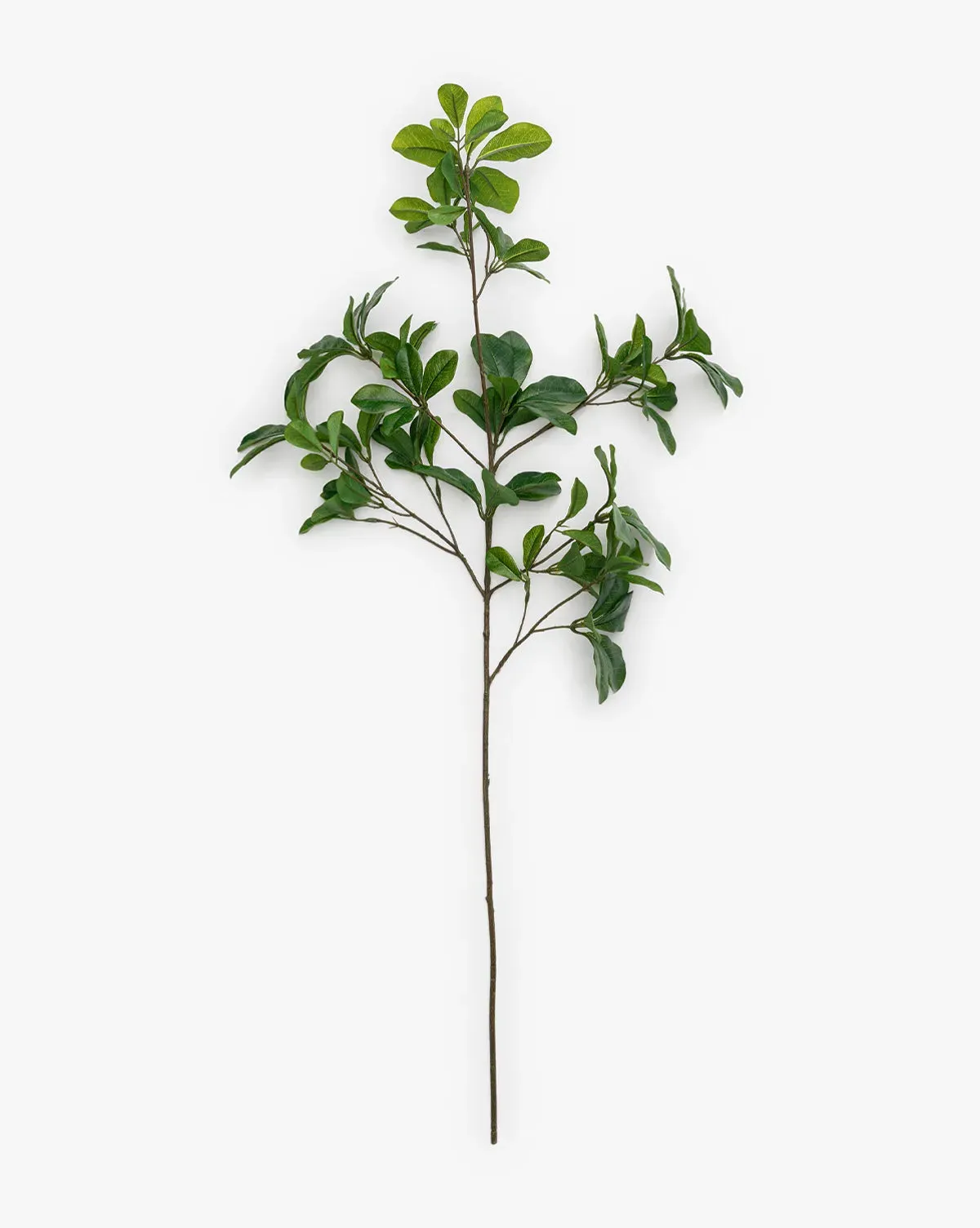 Faux Shady Lady Stem product