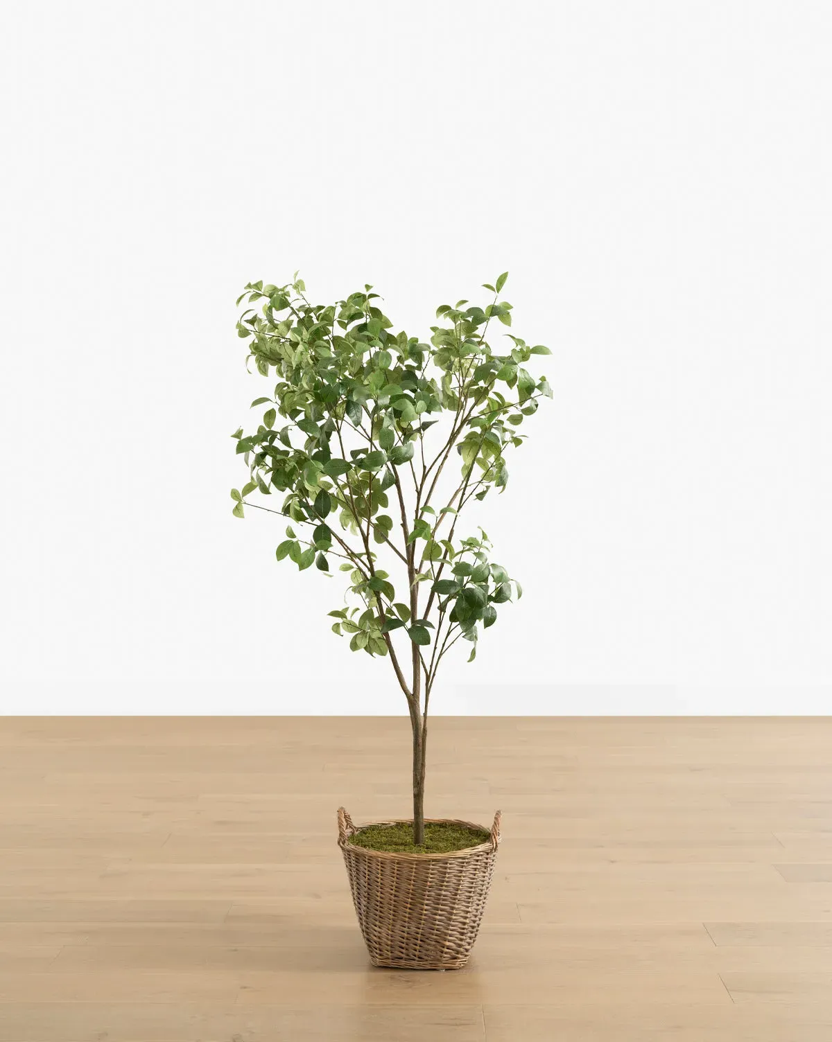Faux Tangerine Tree 84" - Green, Mixed Materials product