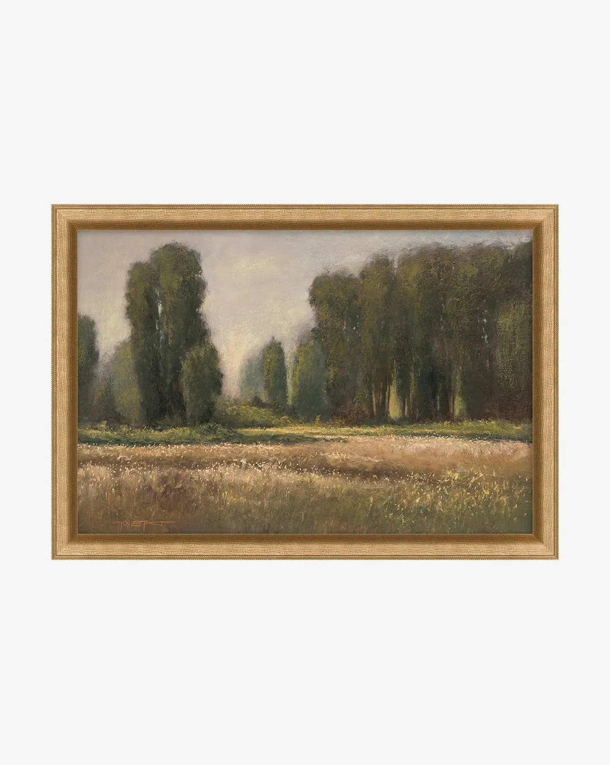 Field in Summer Framed Art Print product